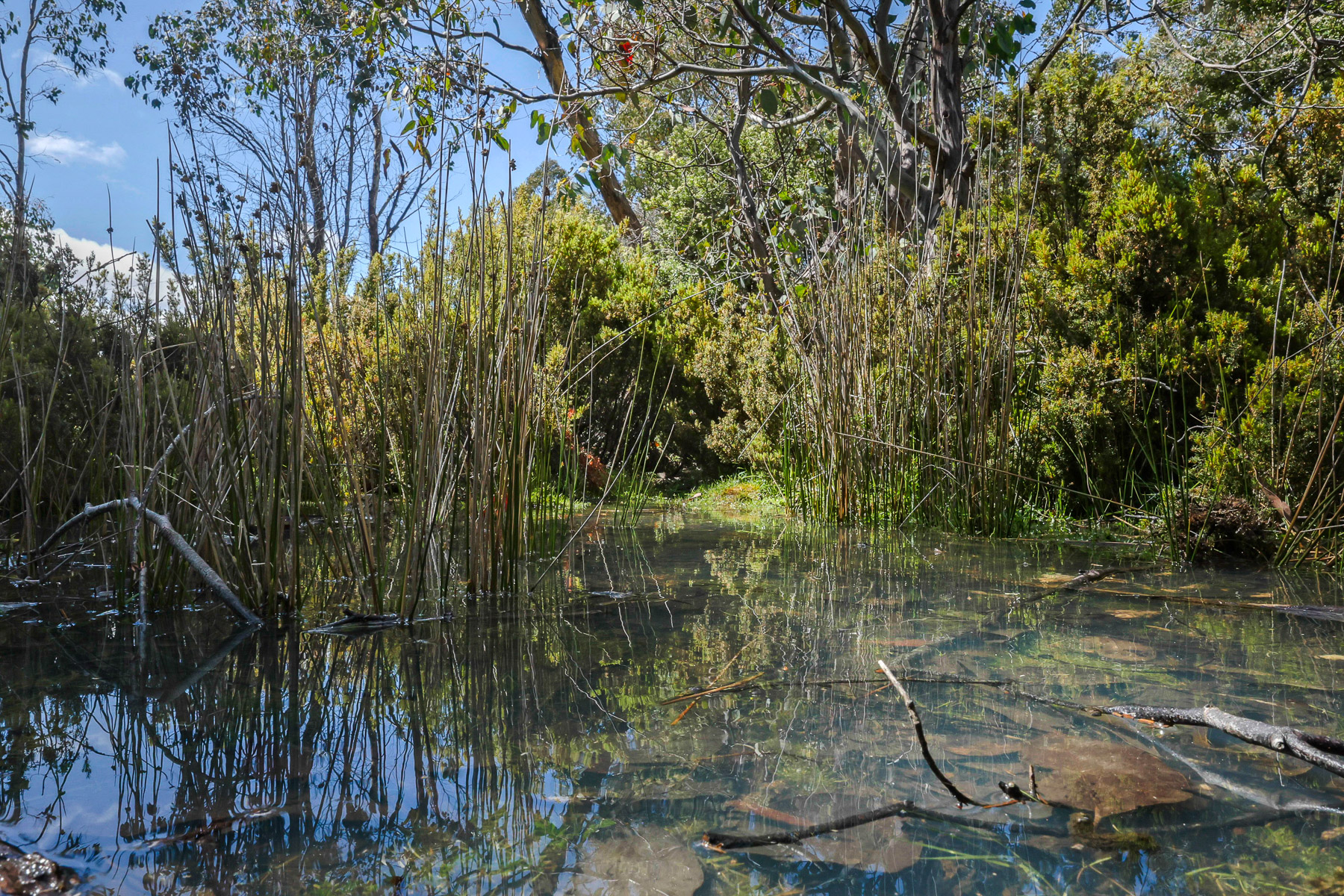 22 Arthurs Lake Road, Wilburville