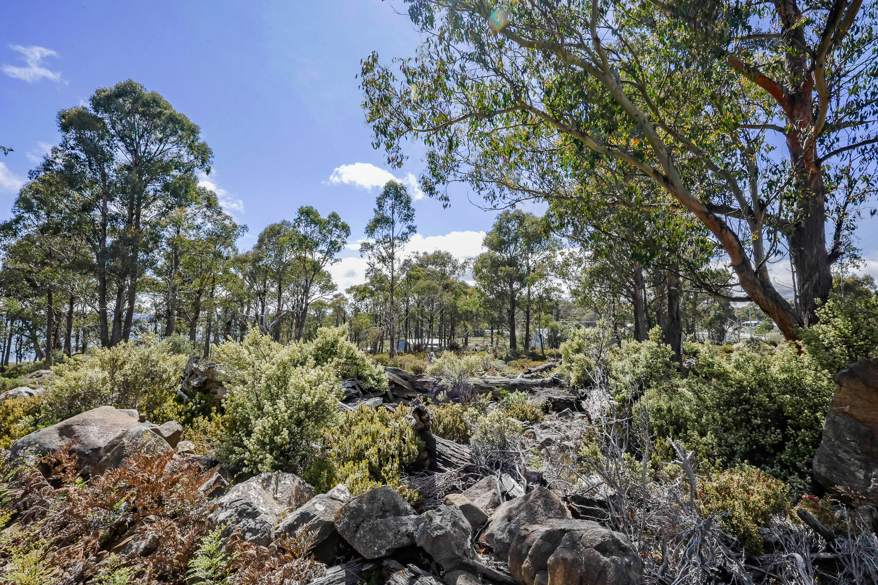 22 Arthurs Lake Road, Wilburville