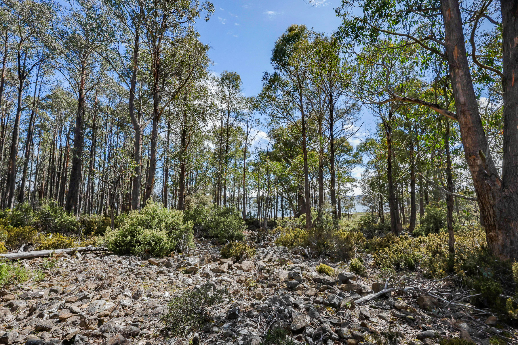 22 Arthurs Lake Road, Wilburville