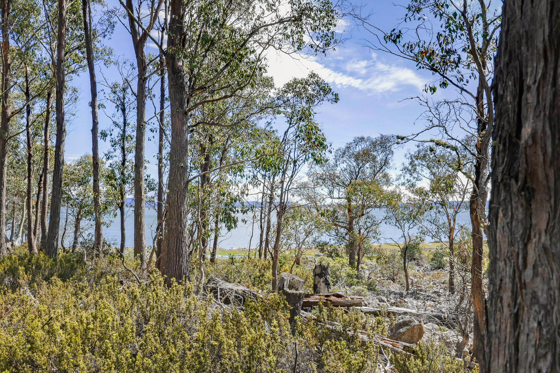 22 Arthurs Lake Road, Wilburville