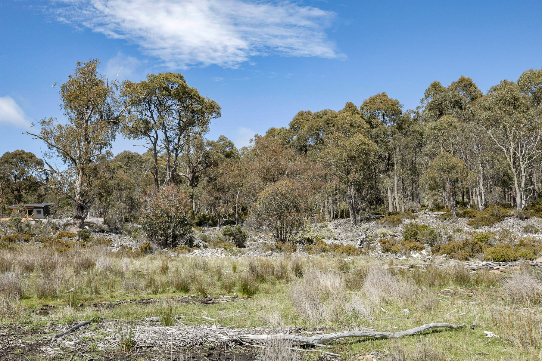 22 Arthurs Lake Road, Wilburville