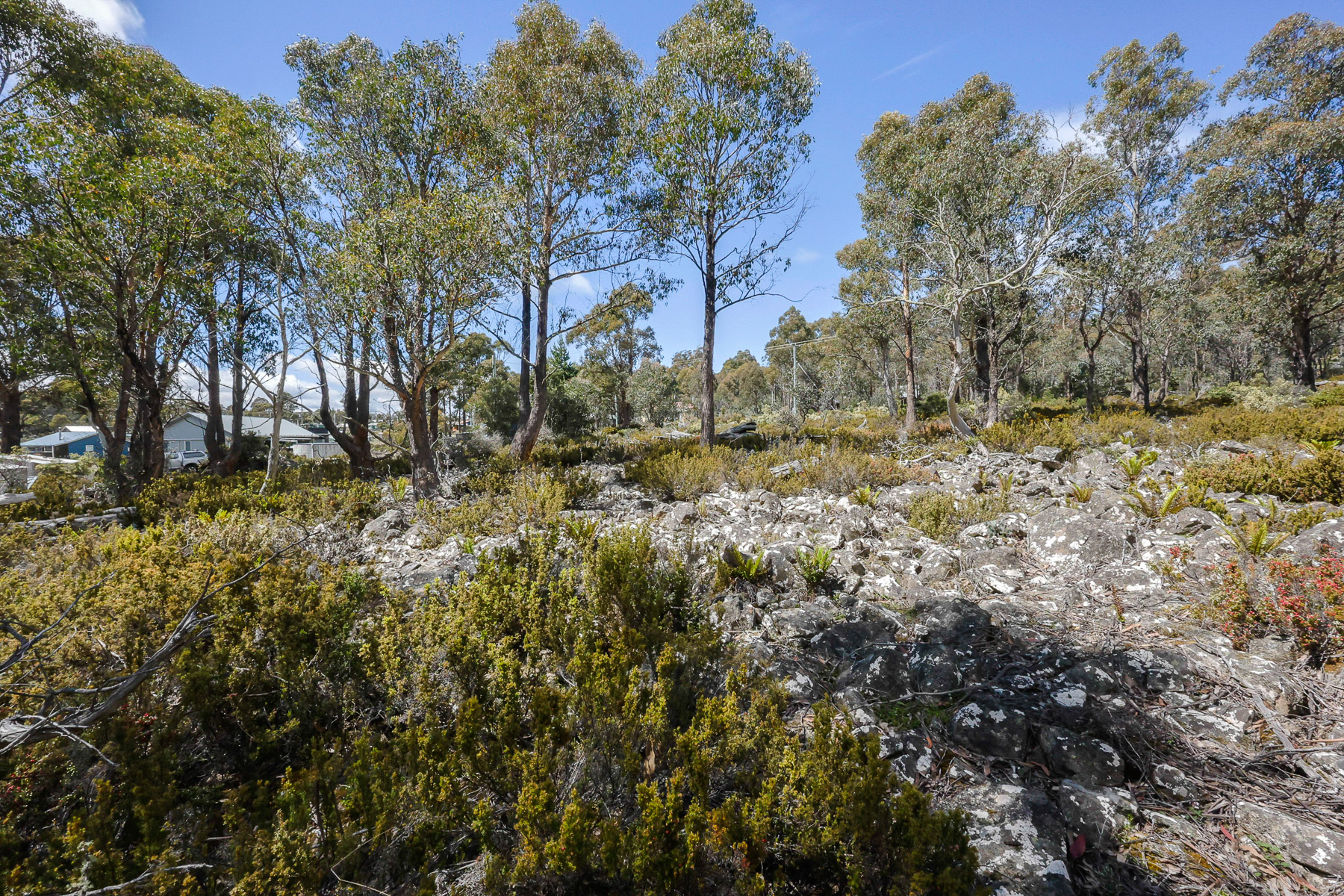 22 Arthurs Lake Road, Wilburville