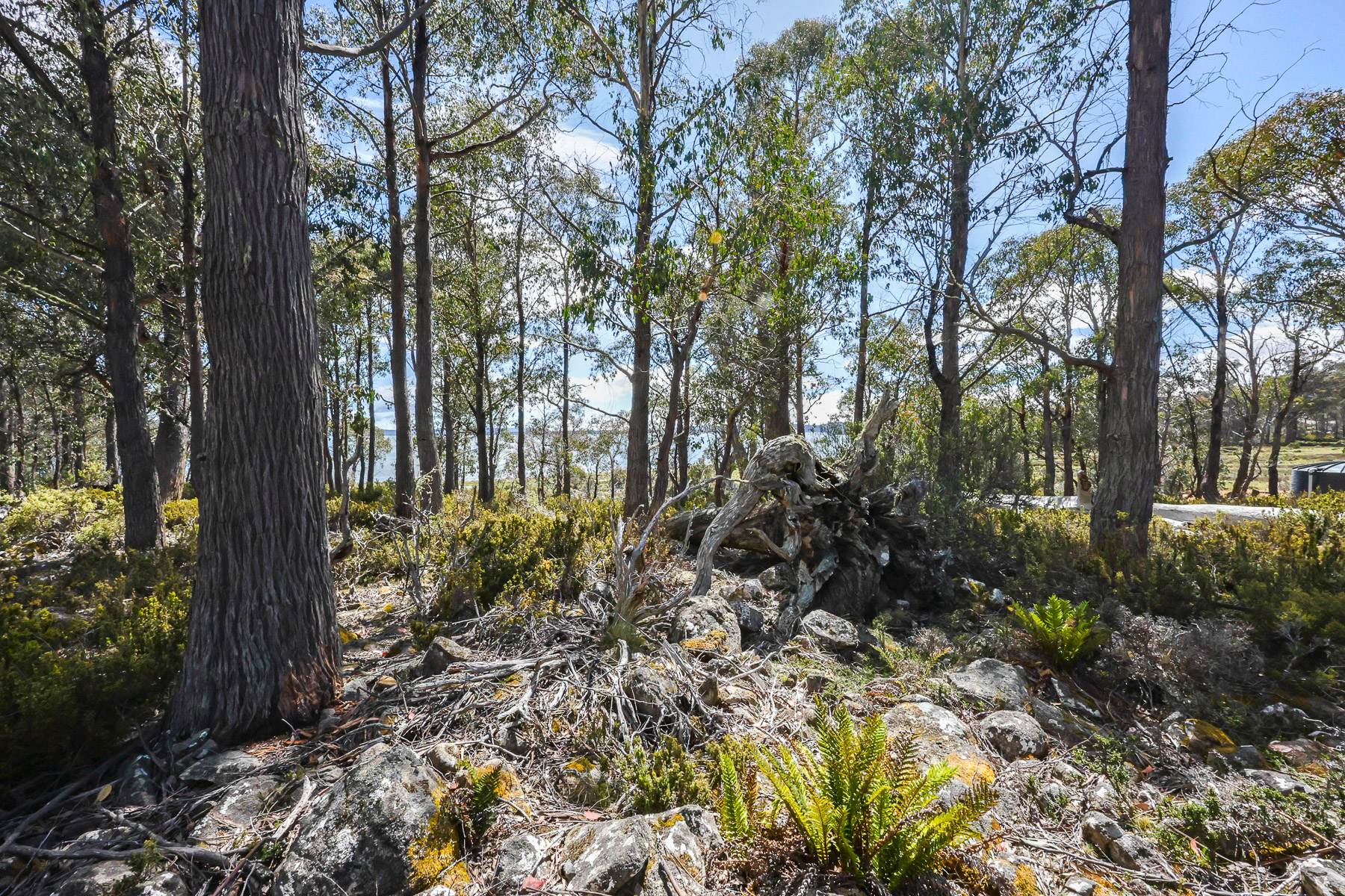 22 Arthurs Lake Road, Wilburville