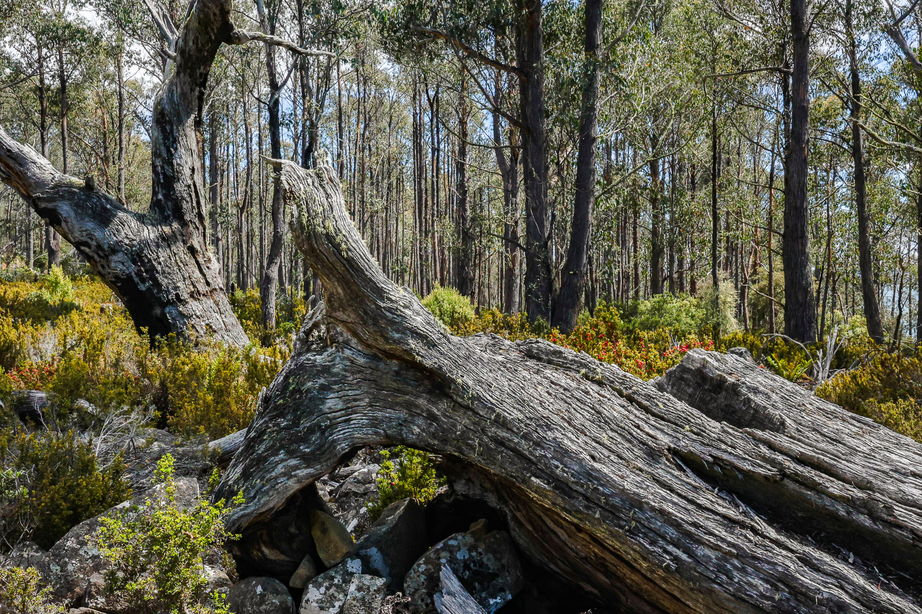 22 Arthurs Lake Road, Wilburville