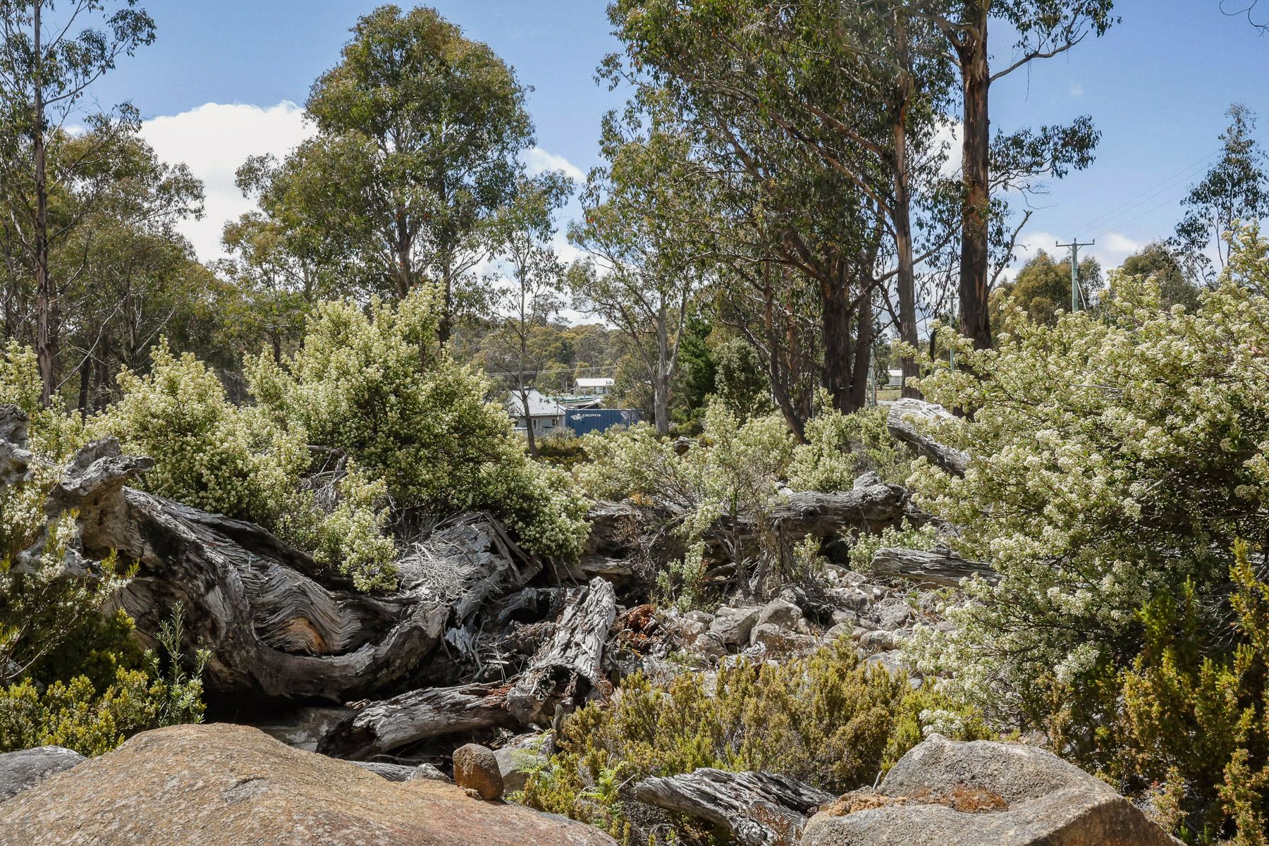 22 Arthurs Lake Road, Wilburville