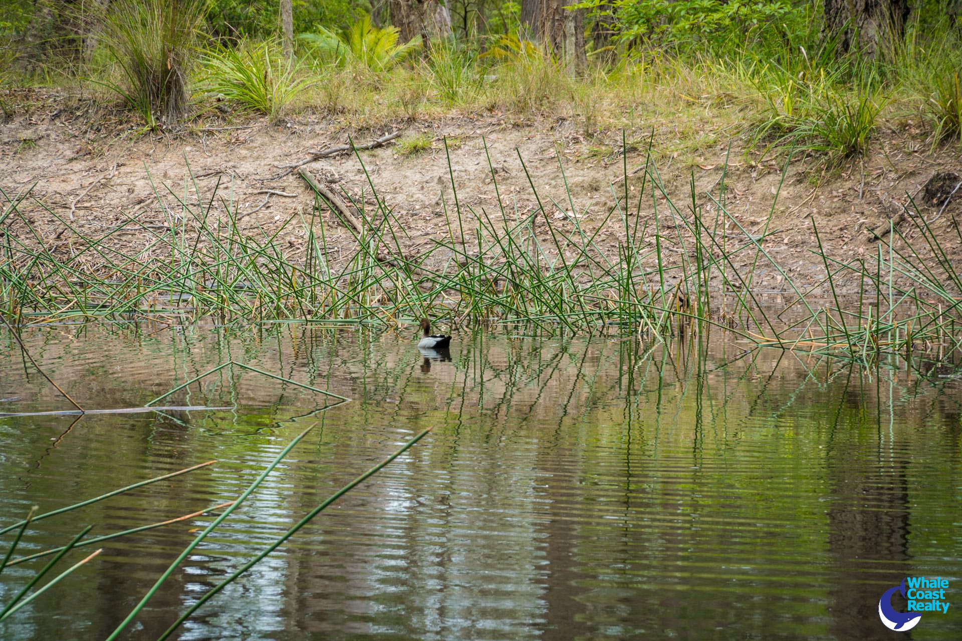 1067 CONGO ROAD, Meringo