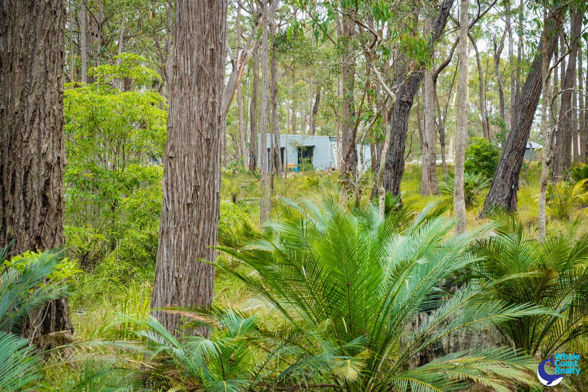 1067 CONGO ROAD, Meringo