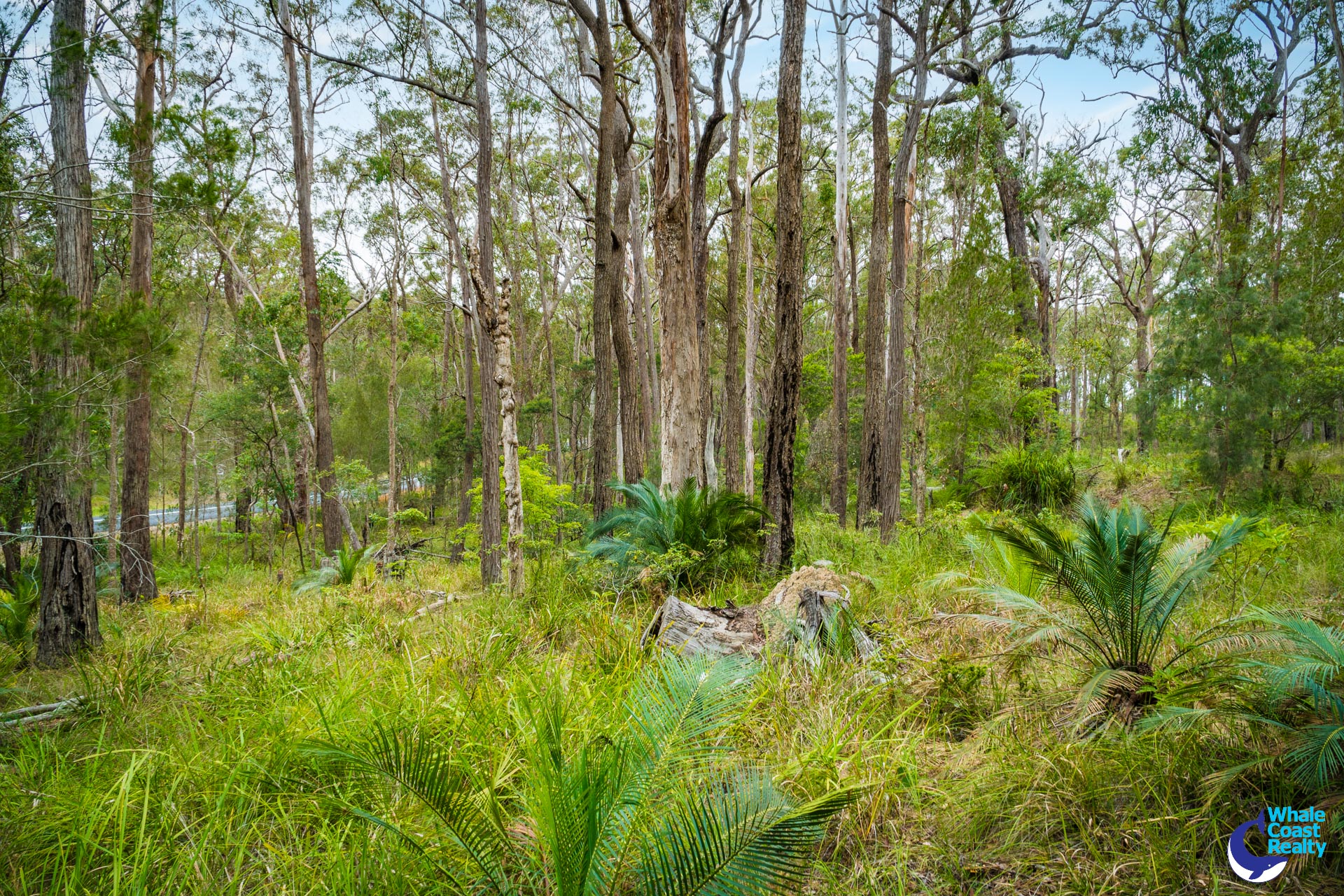 1067 CONGO ROAD, Meringo