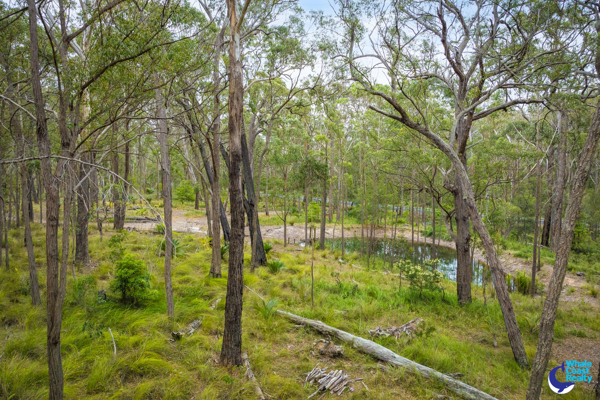 1067 CONGO ROAD, Meringo