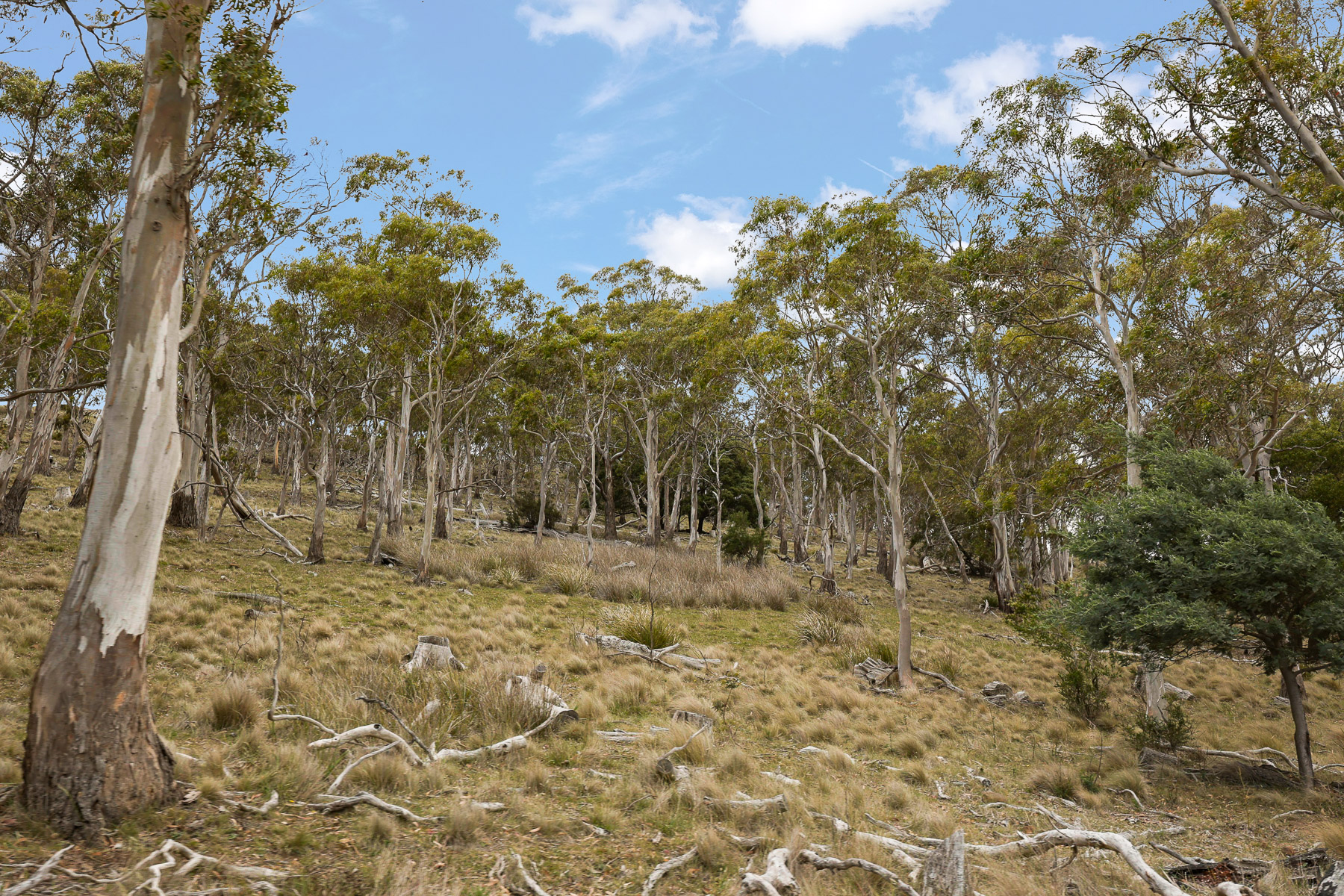 "Kheme Hill" Eastwood Road, York Plains