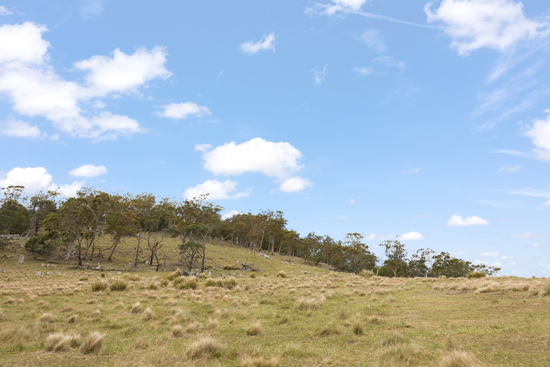 "Kheme Hill" Eastwood Road, York Plains