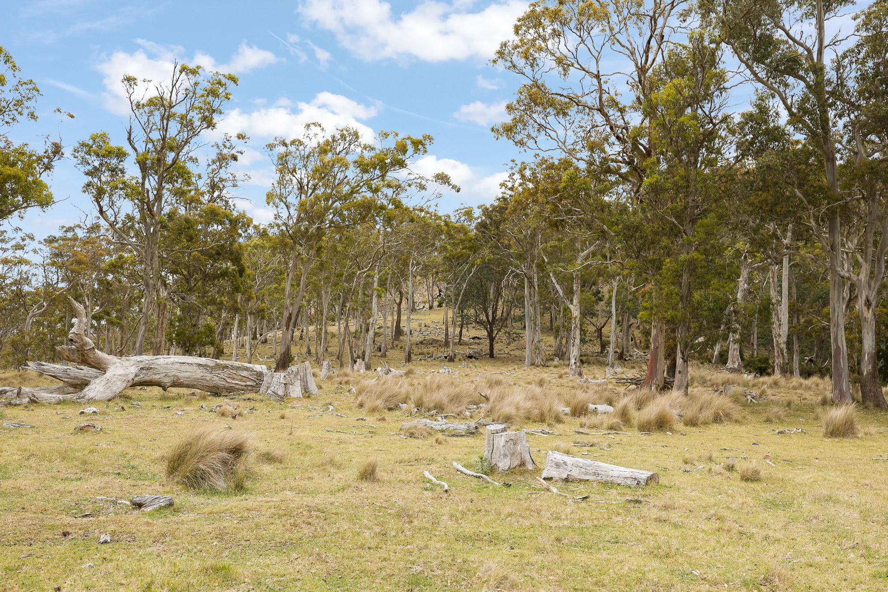"Kheme Hill" Eastwood Road, York Plains