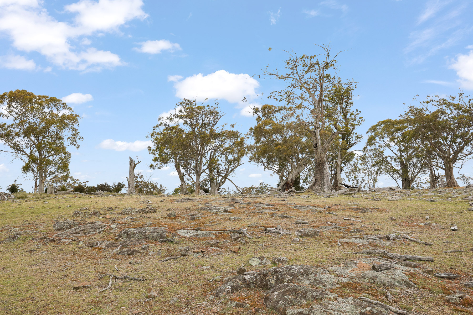 "Kheme Hill" Eastwood Road, York Plains