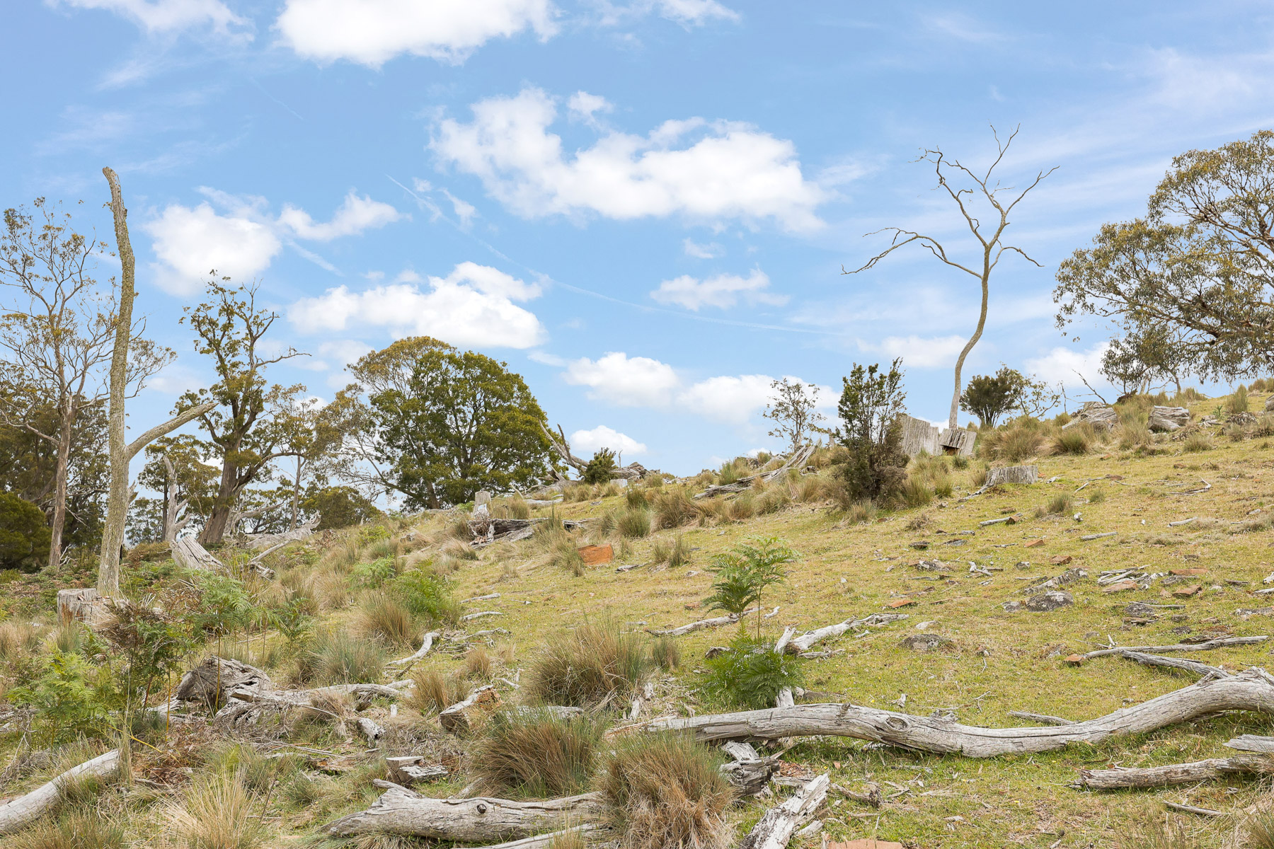 "Kheme Hill" Eastwood Road, York Plains