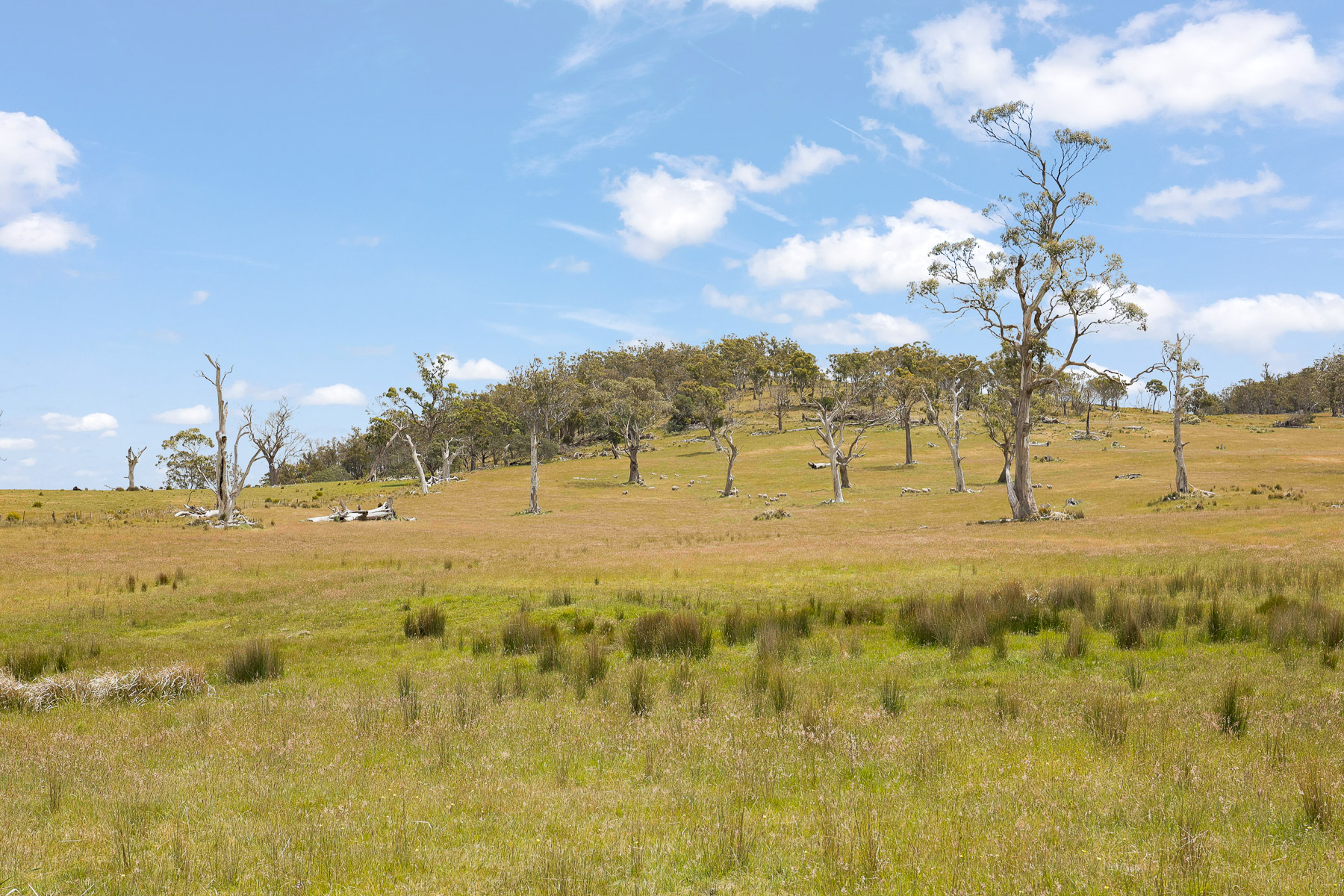 "Kheme Hill" Eastwood Road, York Plains