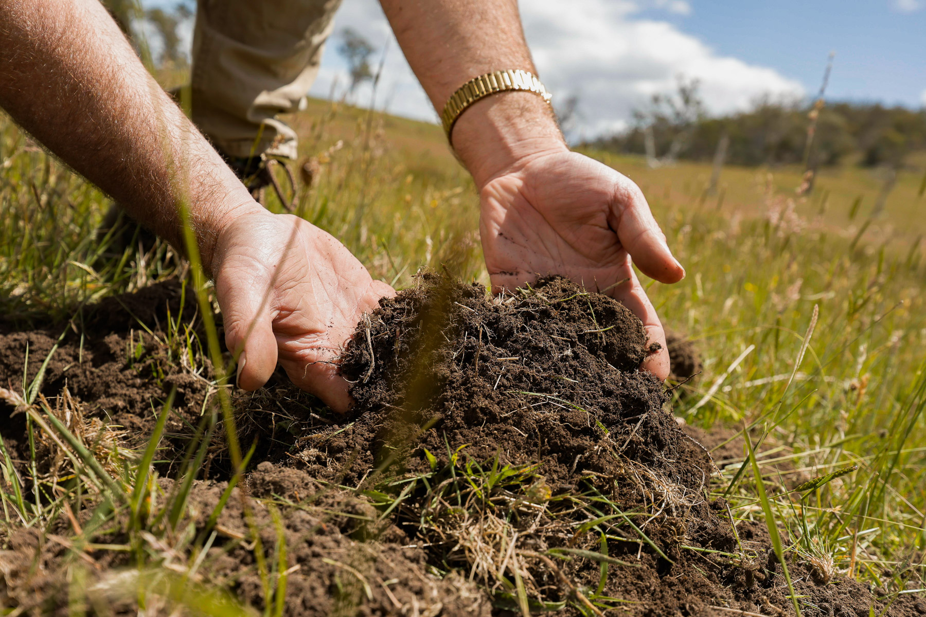"Kheme Hill" Eastwood Road, York Plains