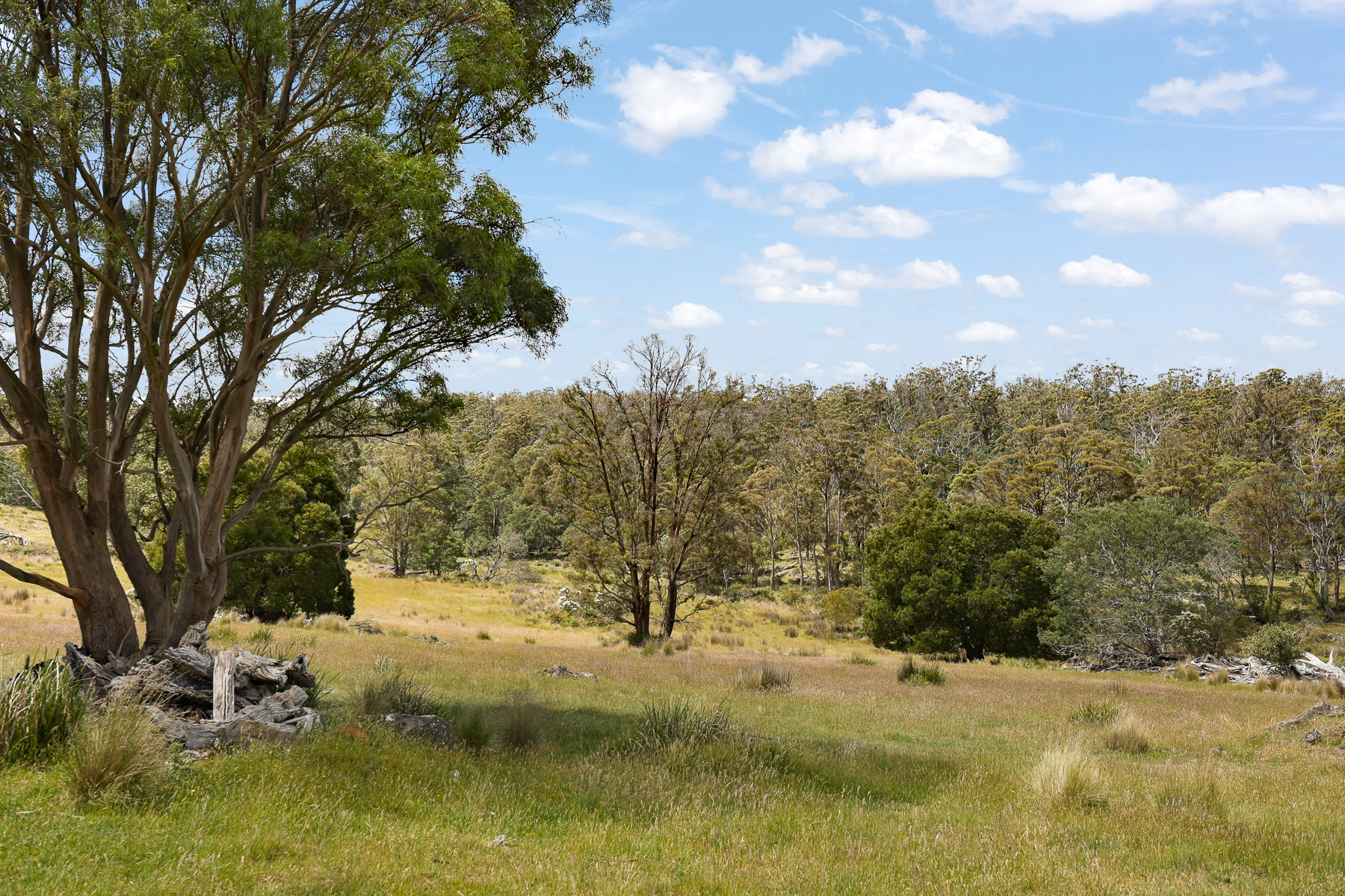 "Kheme Hill" Eastwood Road, York Plains