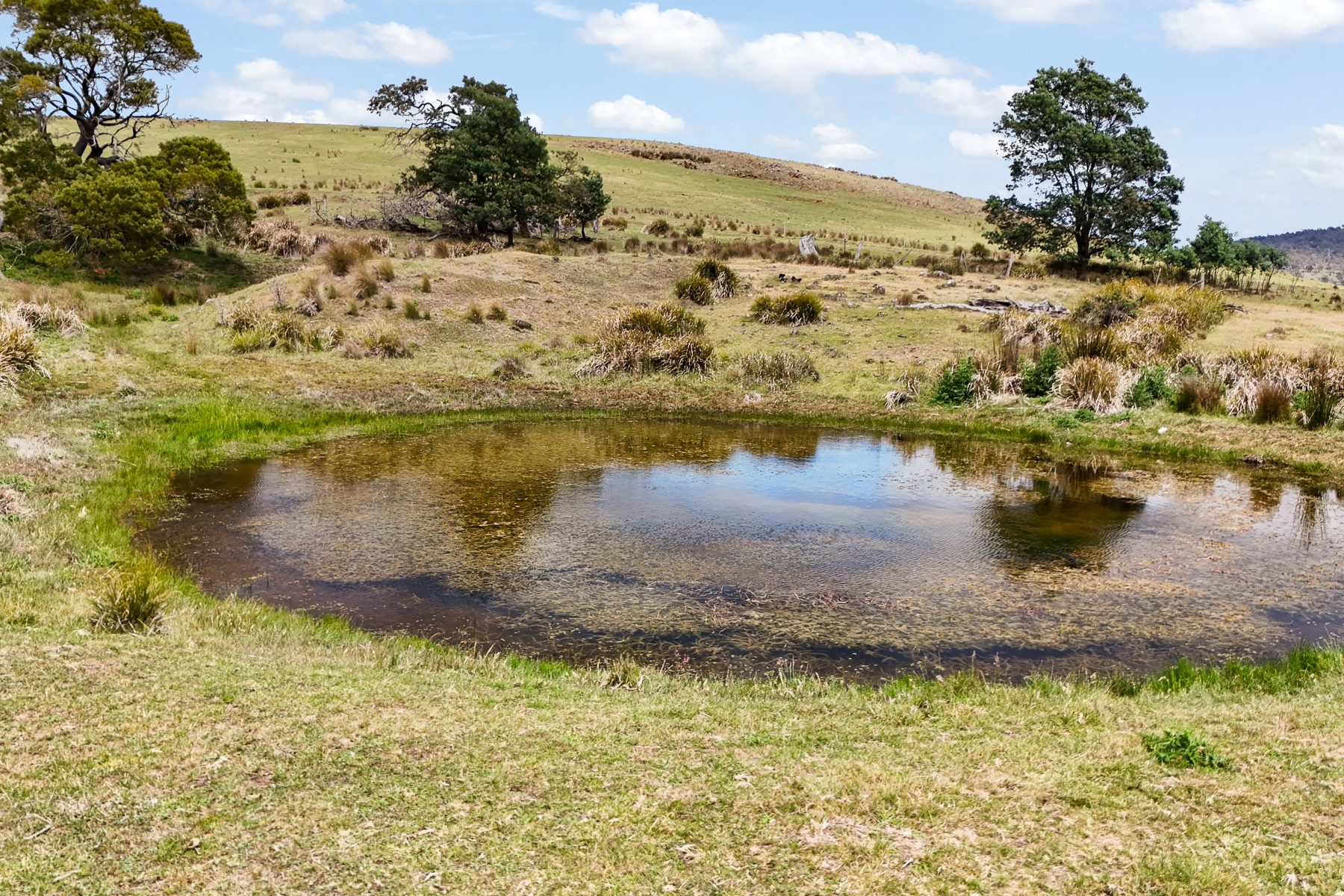 "Kheme Hill" Eastwood Road, York Plains
