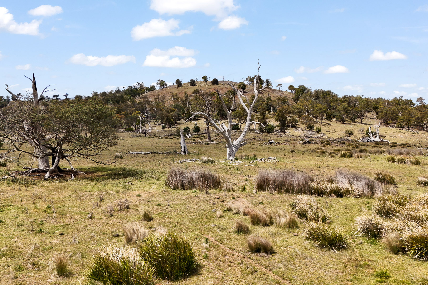 "Kheme Hill" Eastwood Road, York Plains