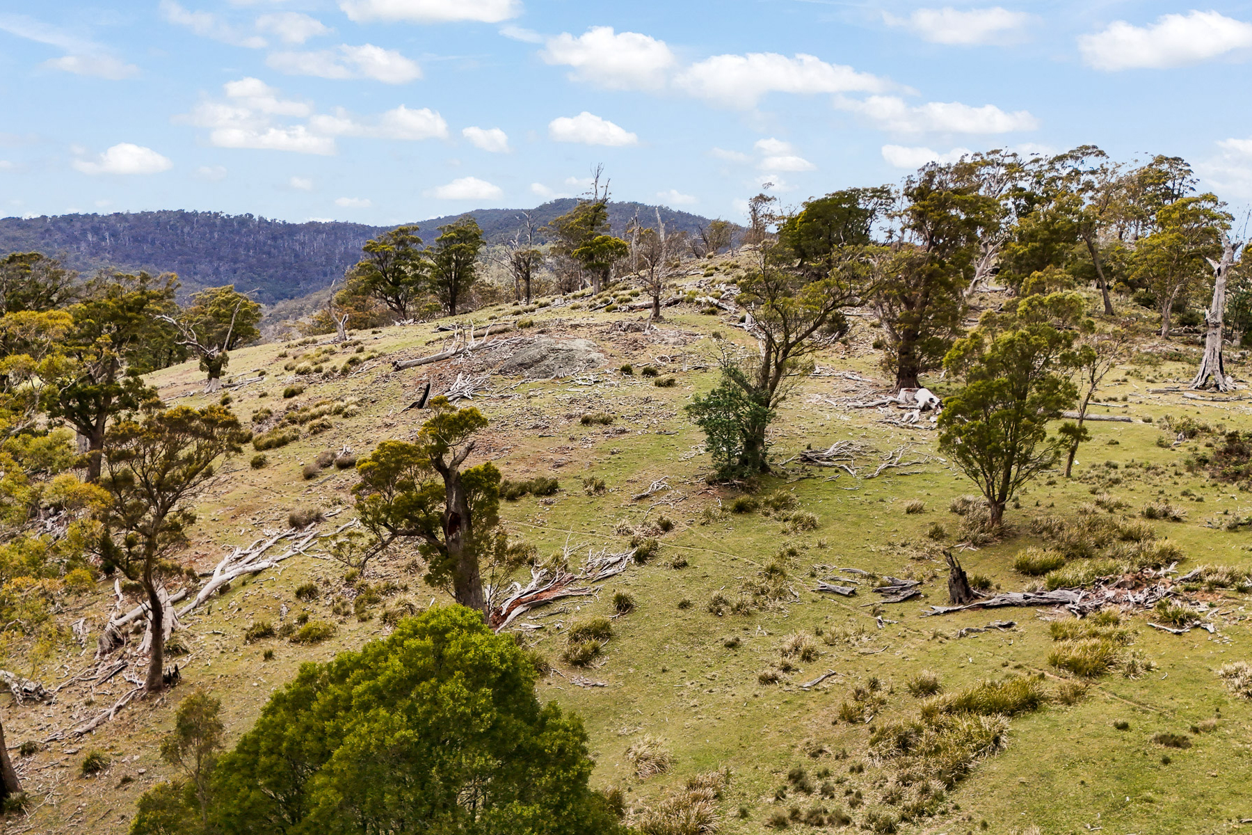 "Kheme Hill" Eastwood Road, York Plains