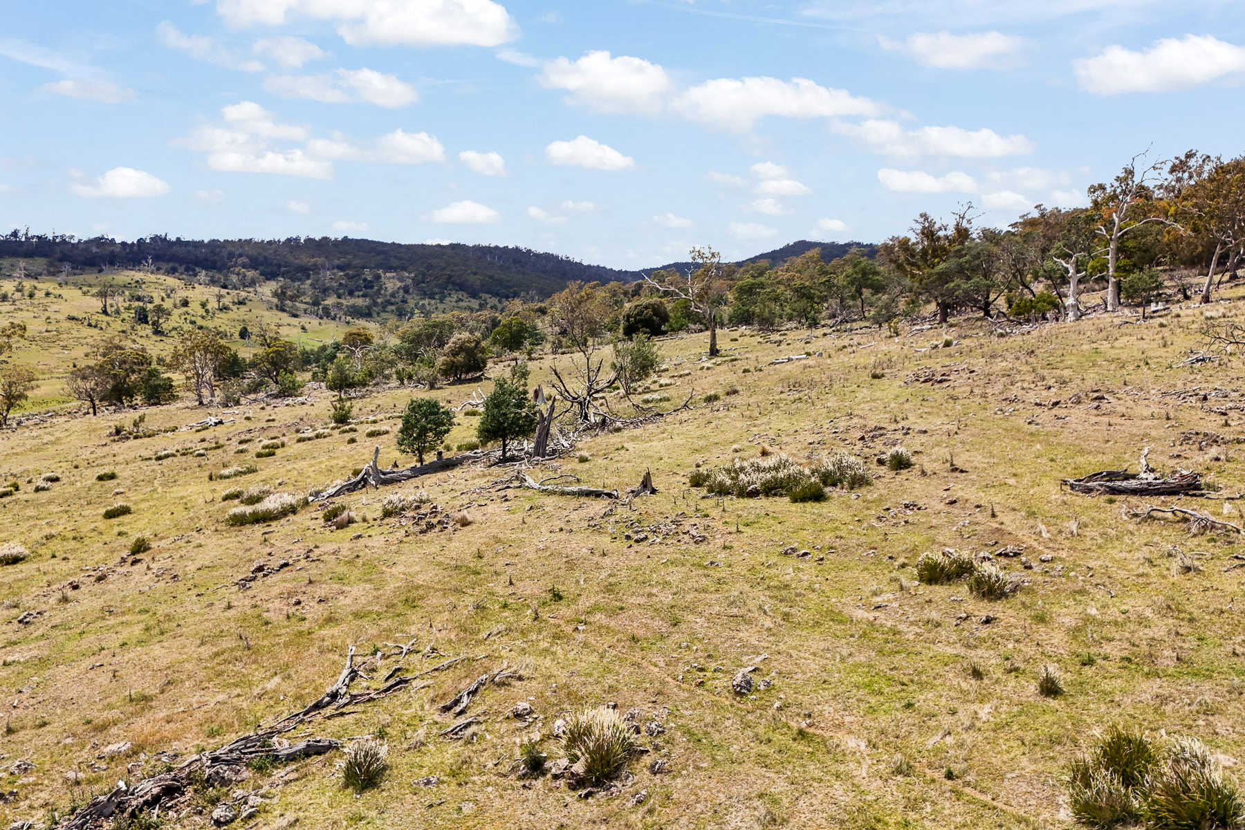 "Kheme Hill" Eastwood Road, York Plains