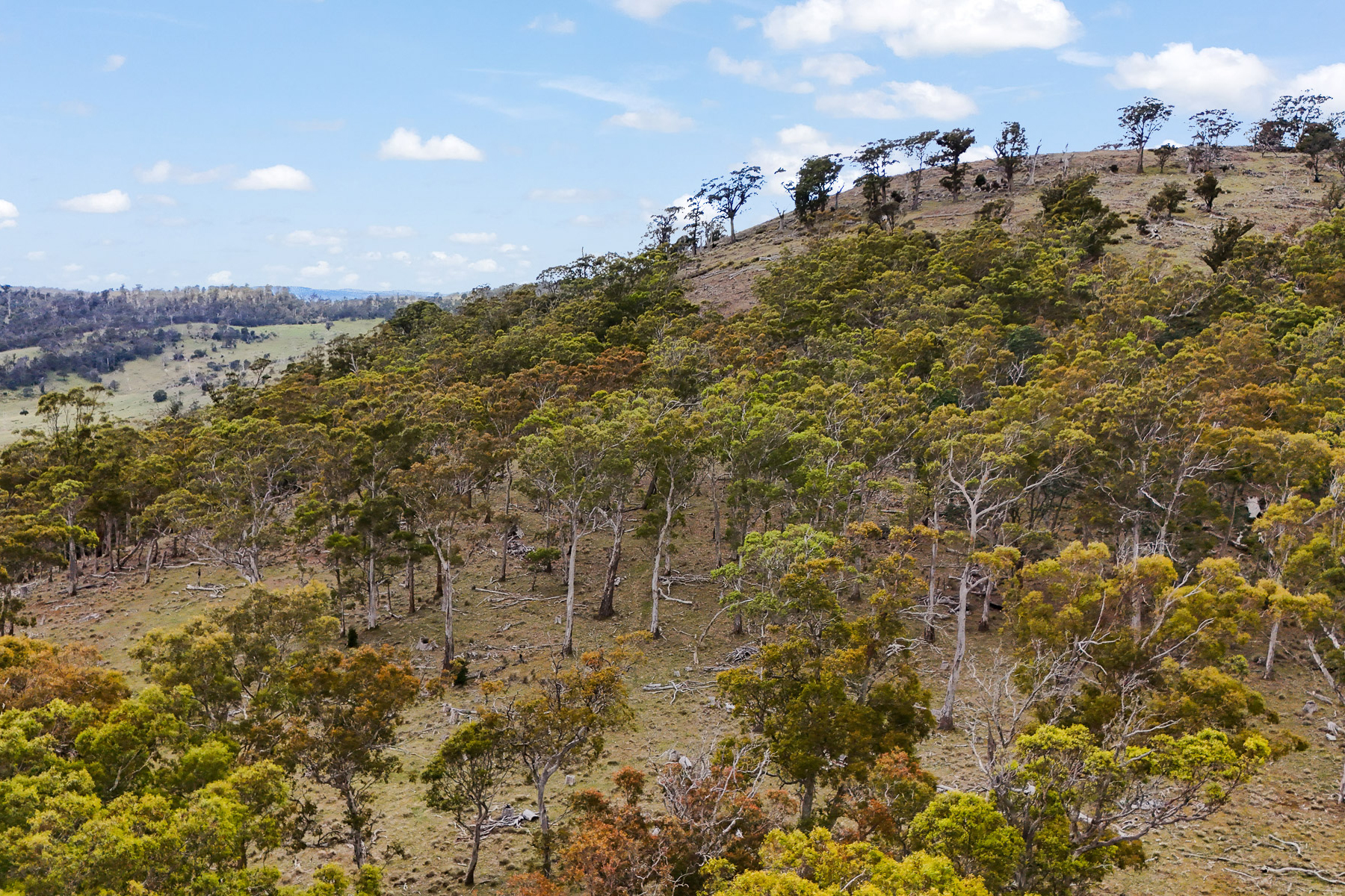 "Kheme Hill" Eastwood Road, York Plains