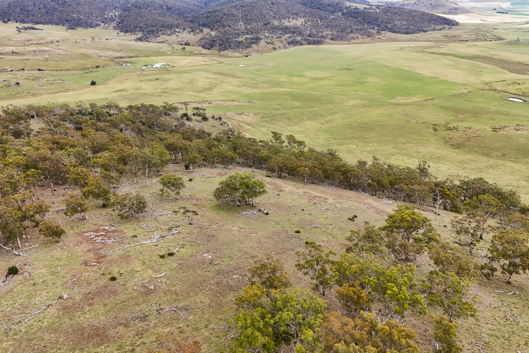 "Kheme Hill" Eastwood Road, York Plains