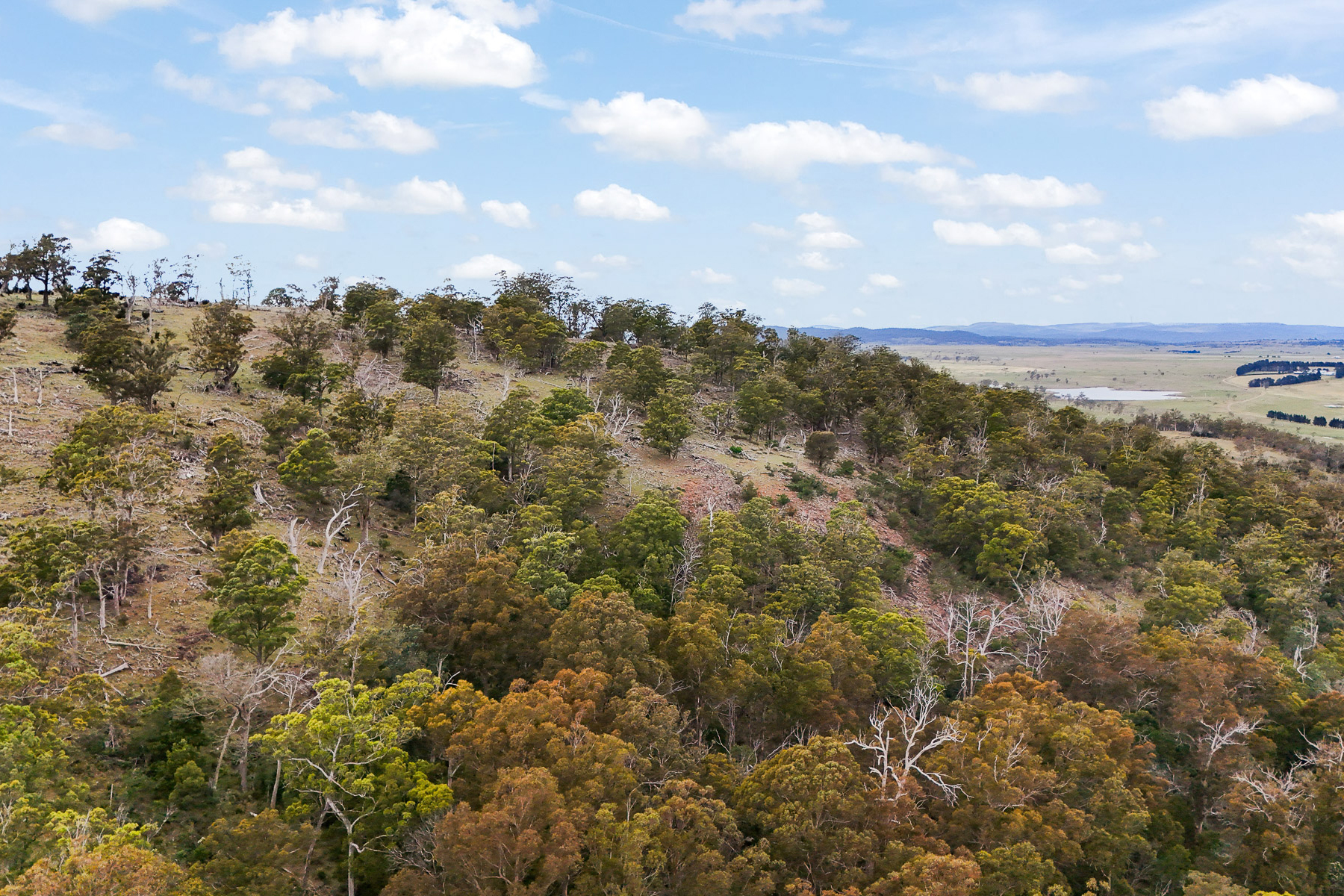 "Kheme Hill" Eastwood Road, York Plains