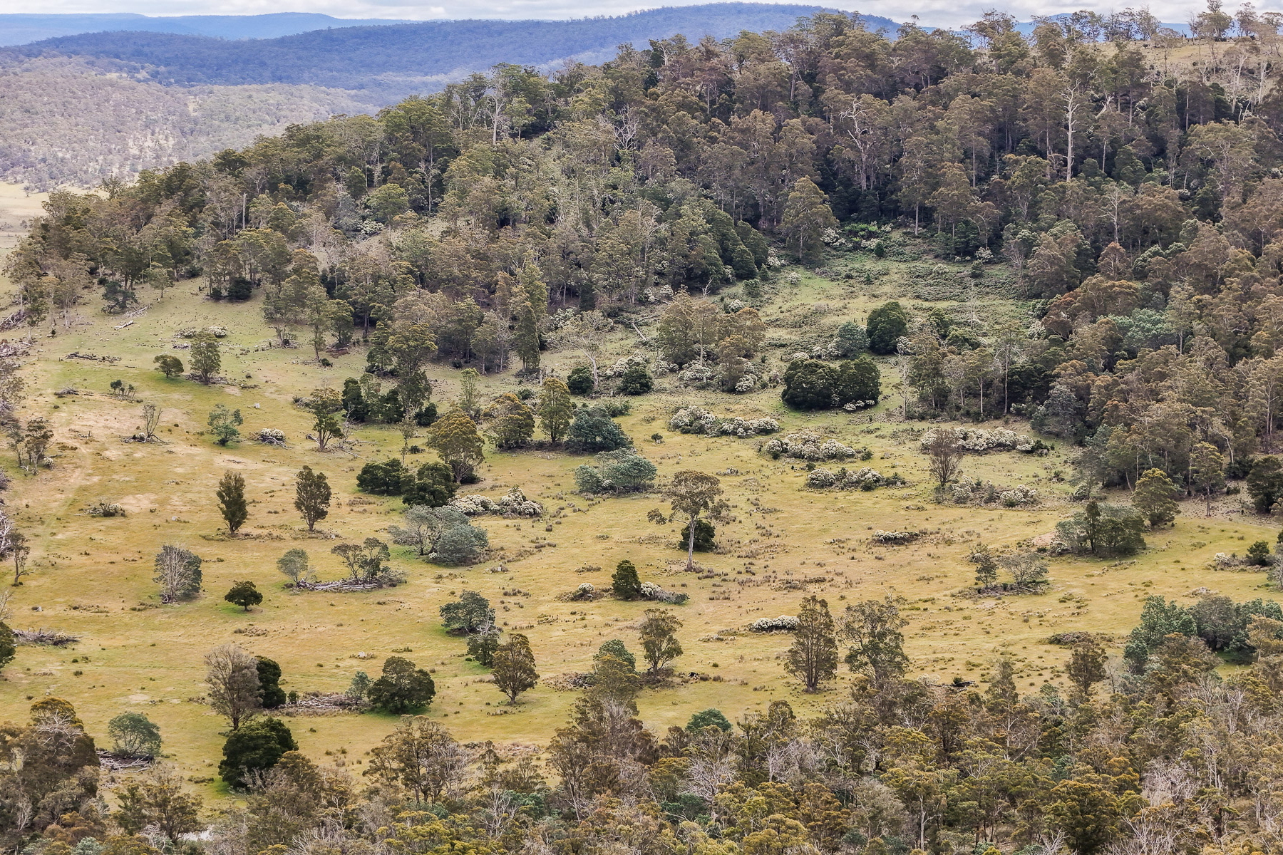 "Kheme Hill" Eastwood Road, York Plains