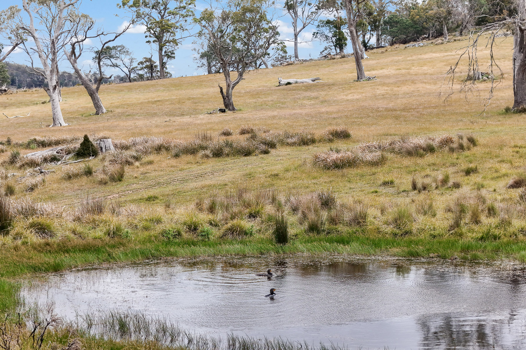 "Kheme Hill" Eastwood Road, York Plains