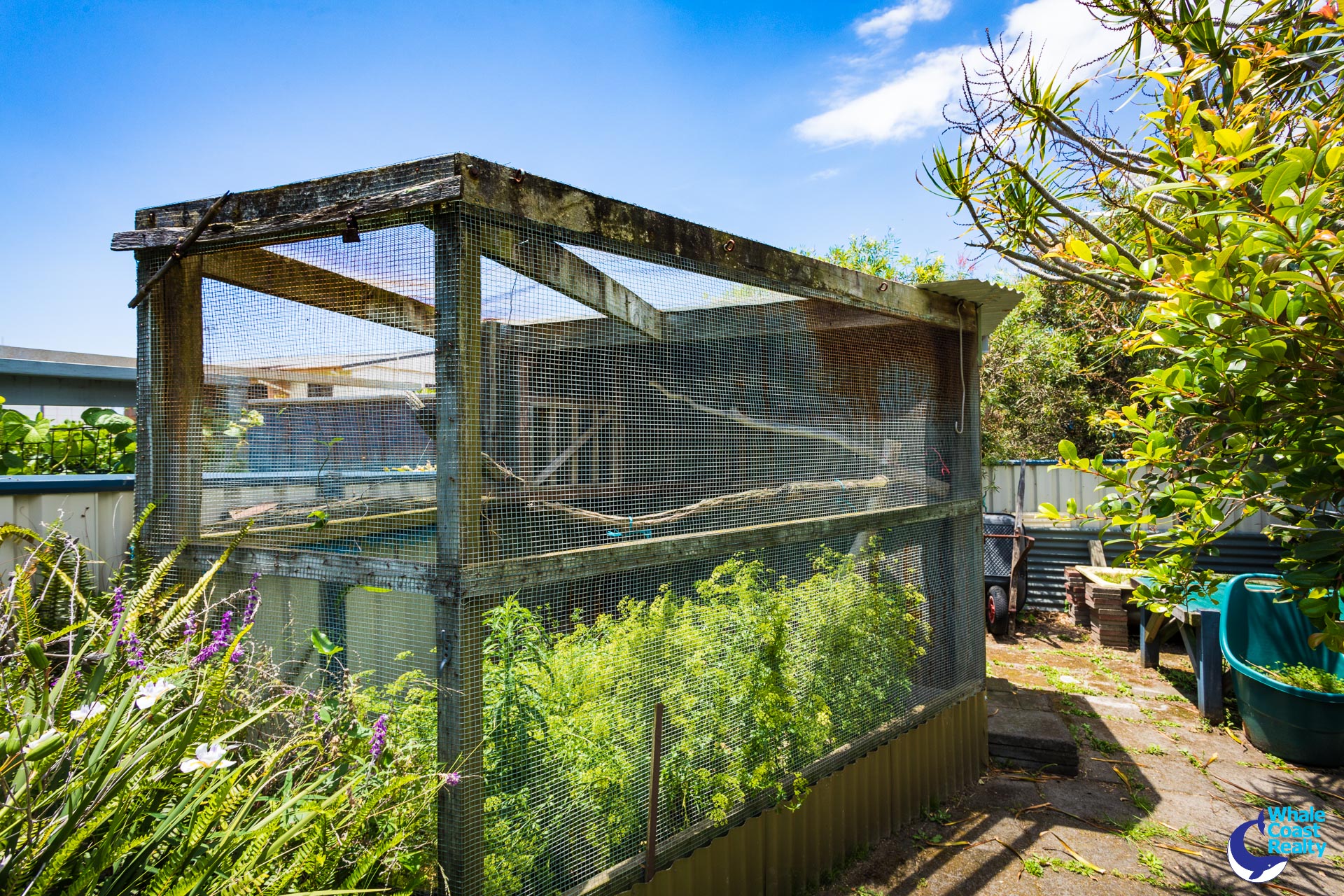 32 Sunset Boulevard, Kianga