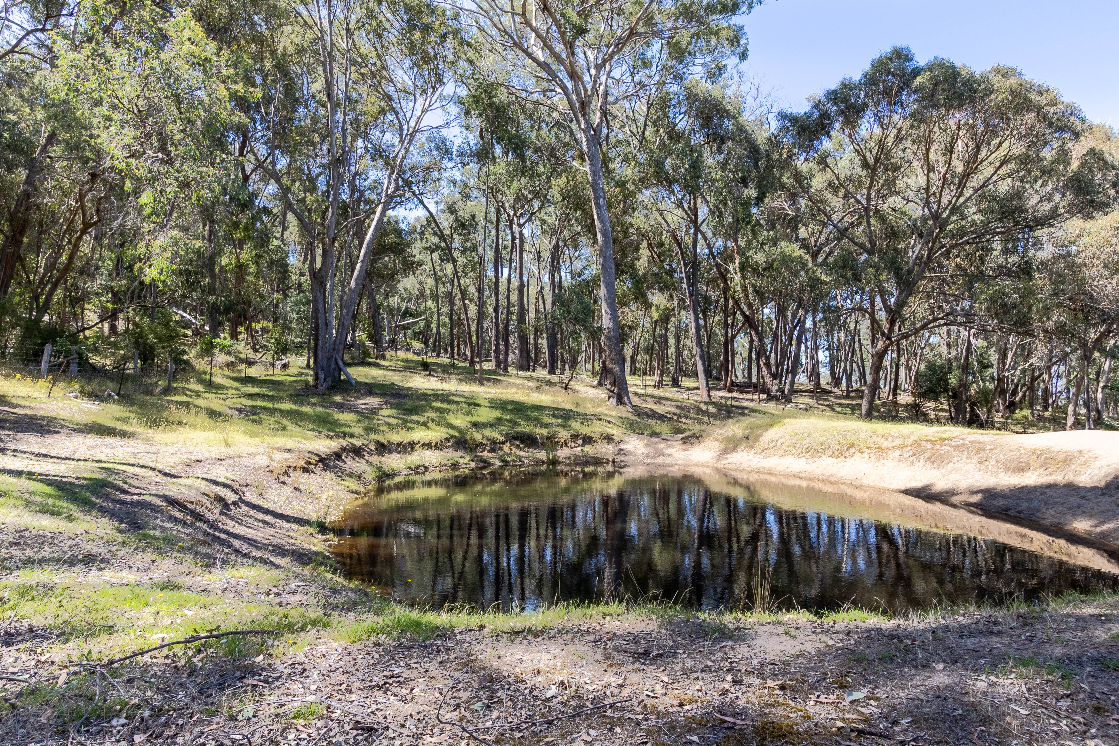 338 Harpers Road, Barjarg