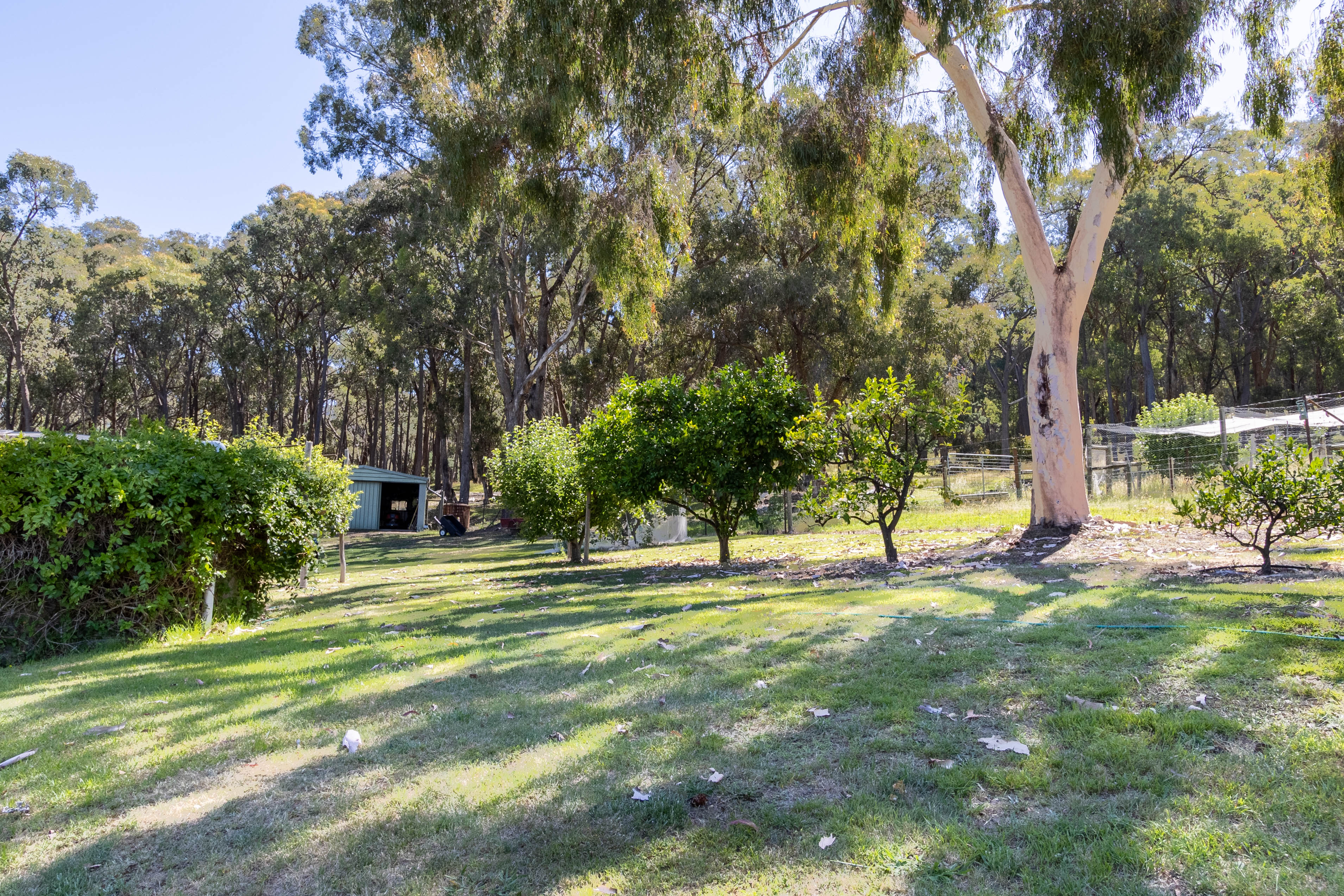 338 Harpers Road, Barjarg