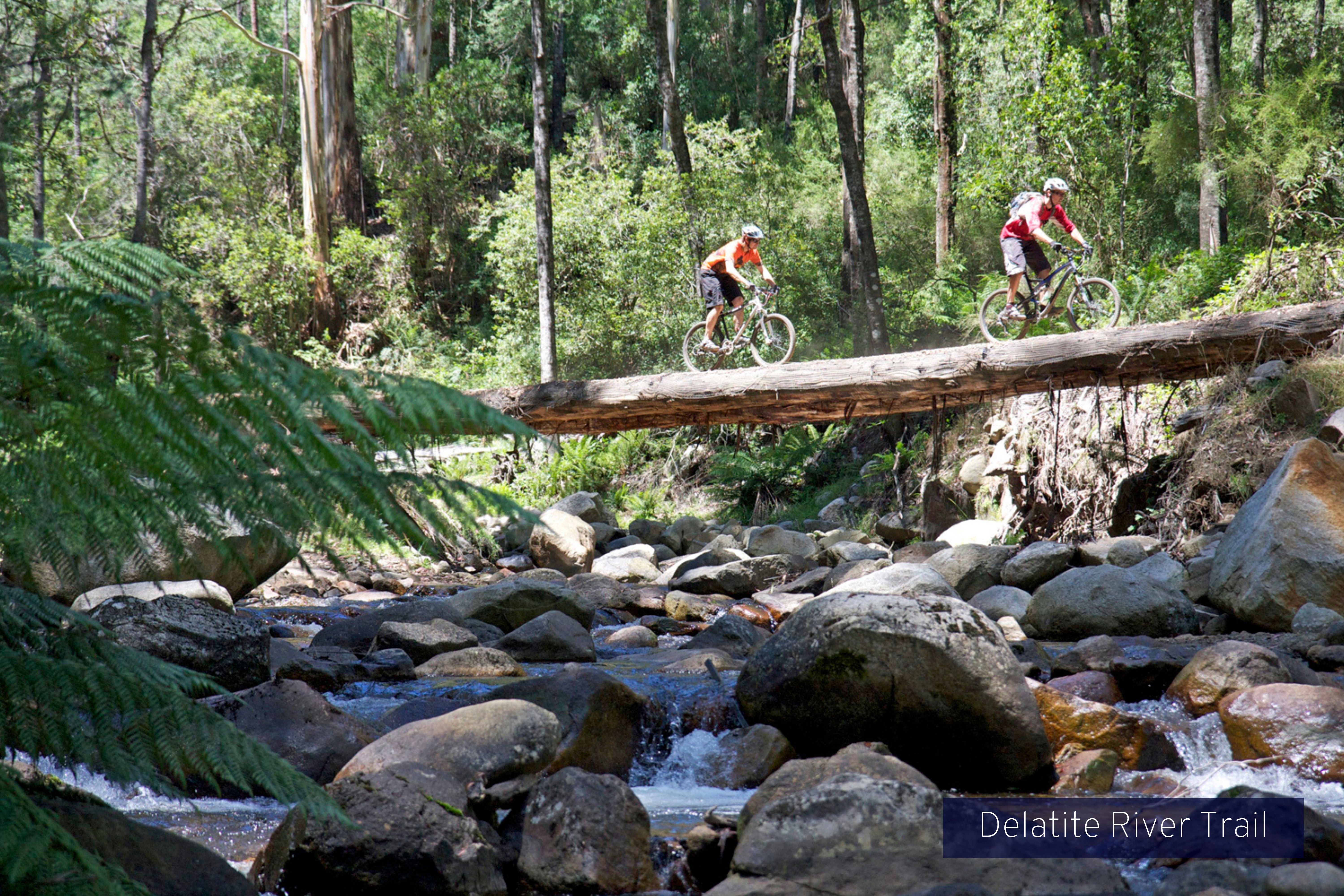 20 Alpine Ridge Drive, Merrijig