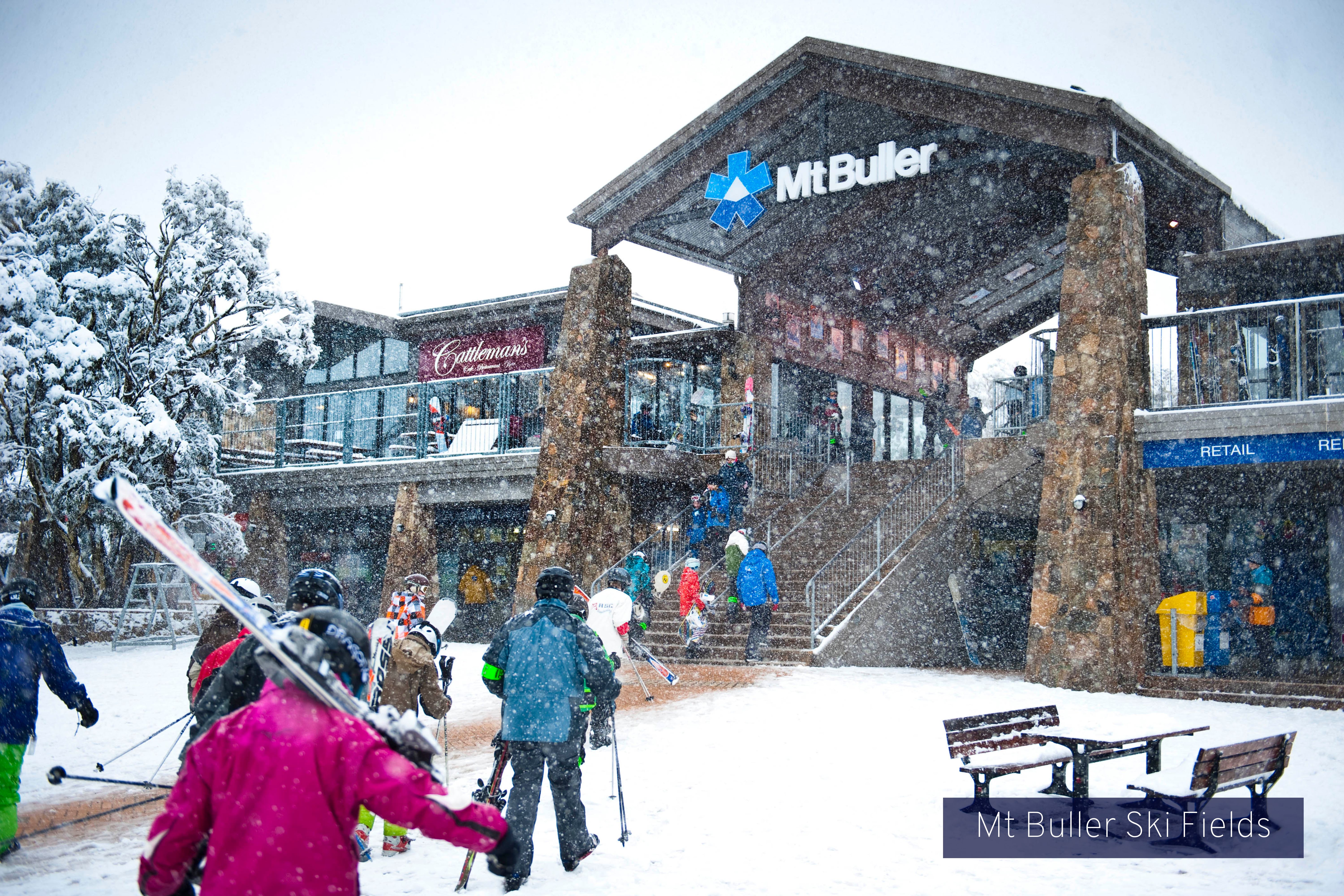 20 Alpine Ridge Drive, Merrijig