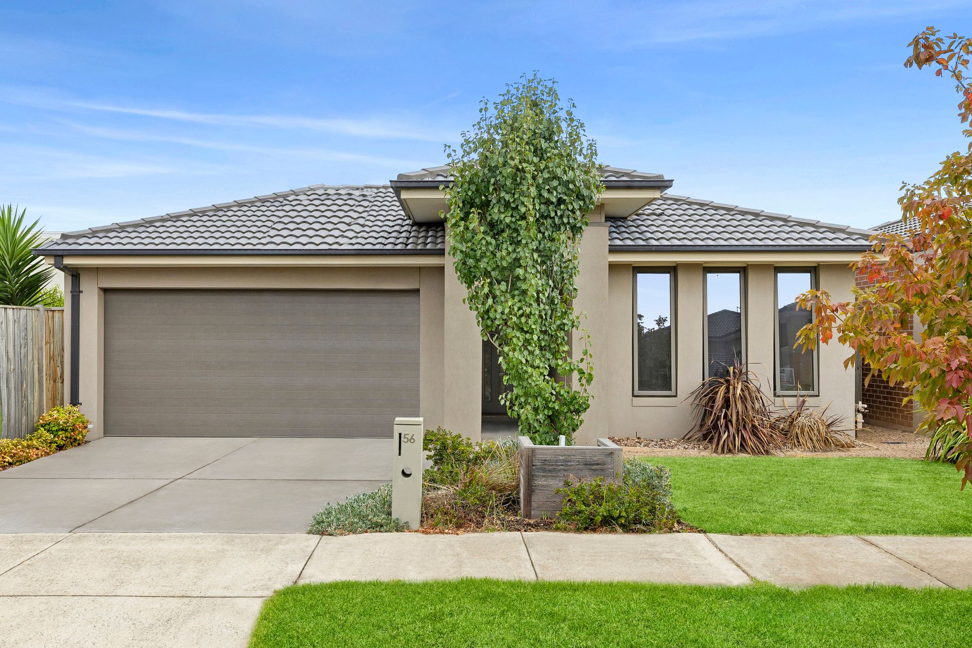 Listing image for 56 Lance Drive, ARMSTRONG CREEK  VIC  3217