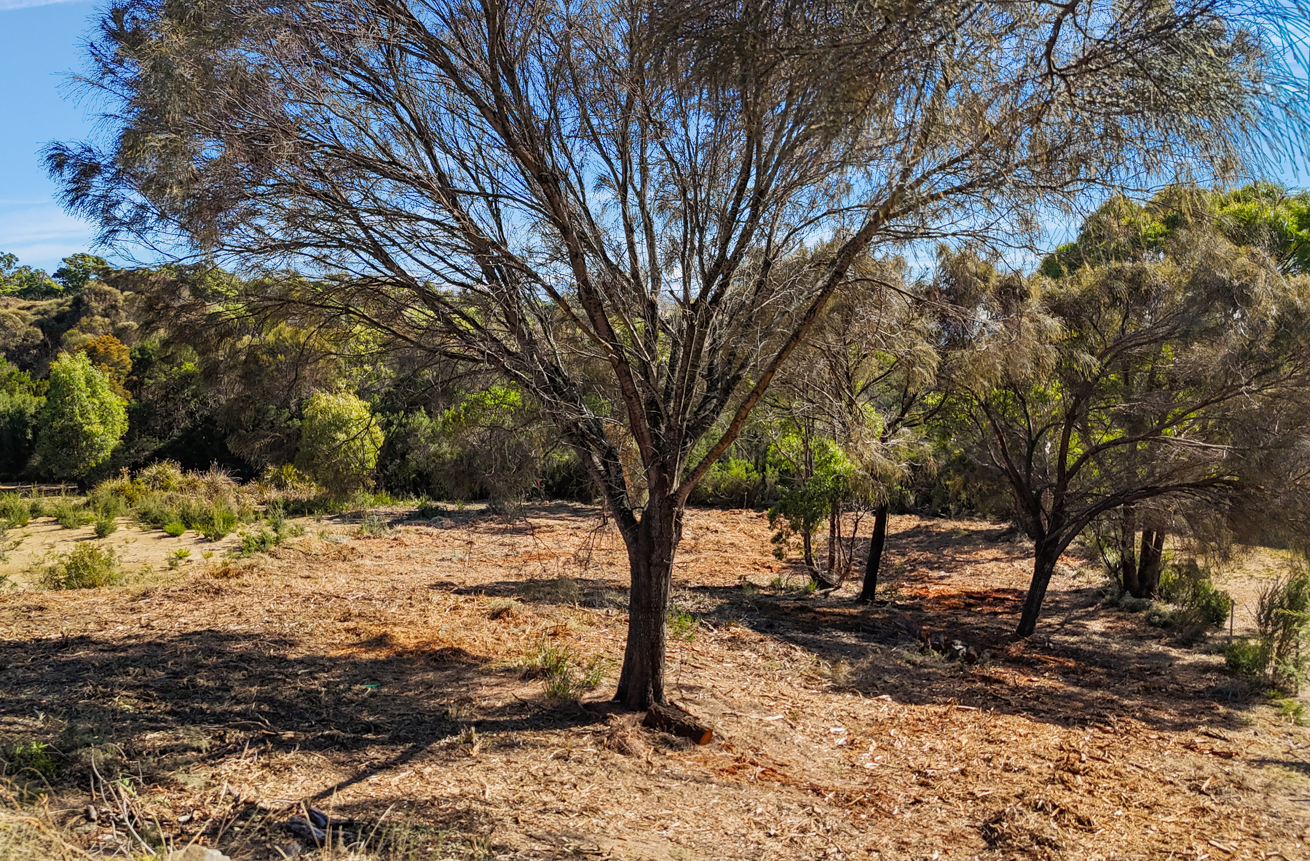 20 Pars Road, Greens Beach