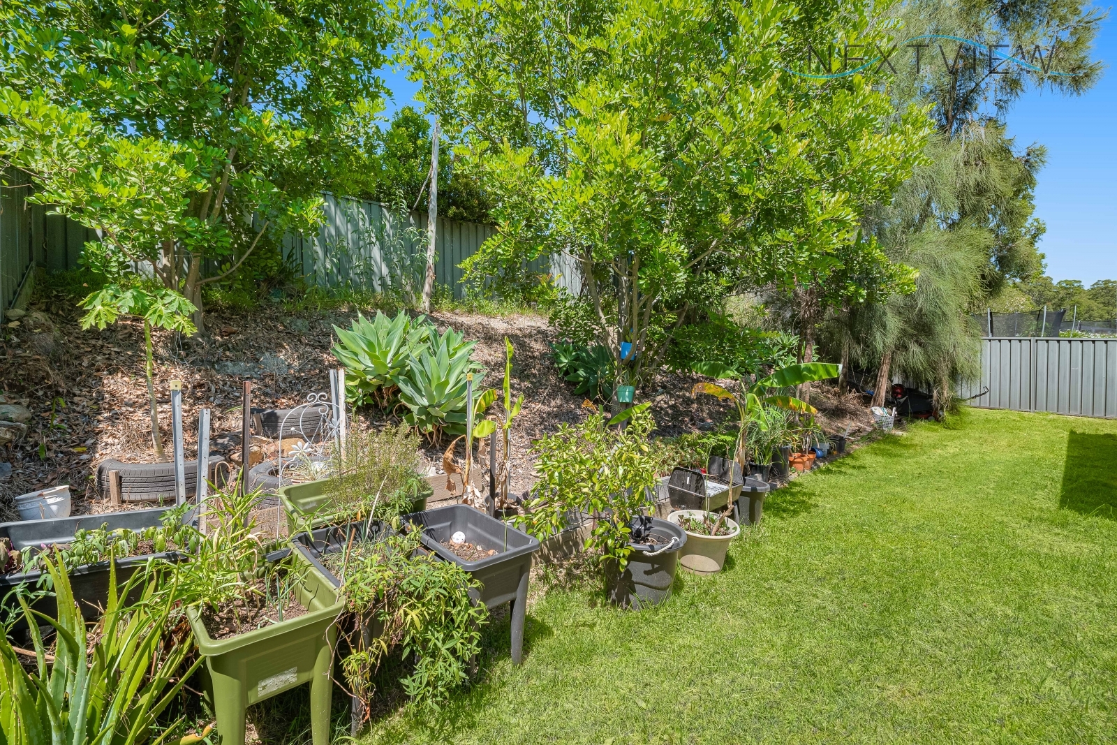 37 Wedgetail Street, Fletcher