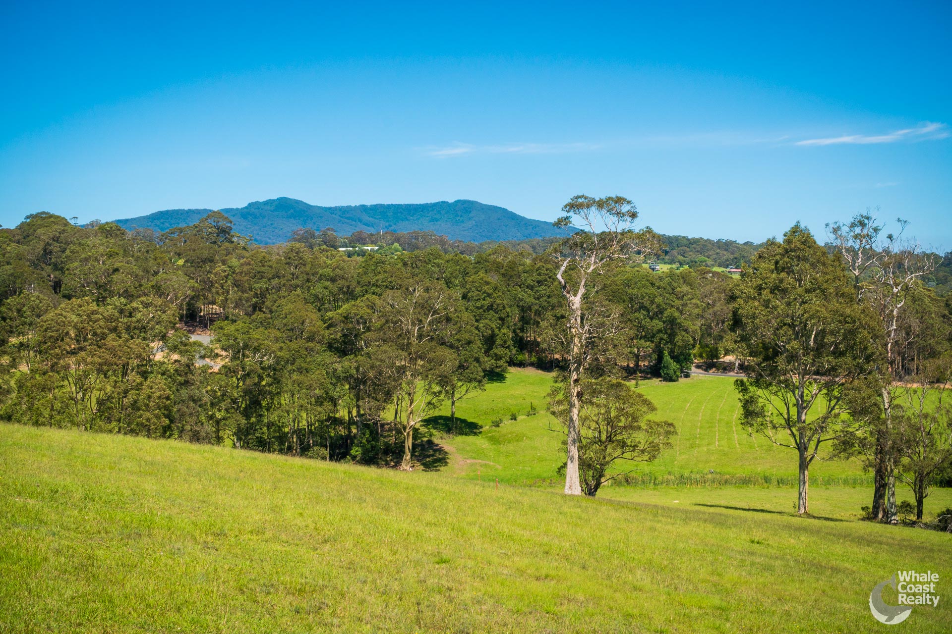 Lot 6, 81 Wonga Road, Narooma