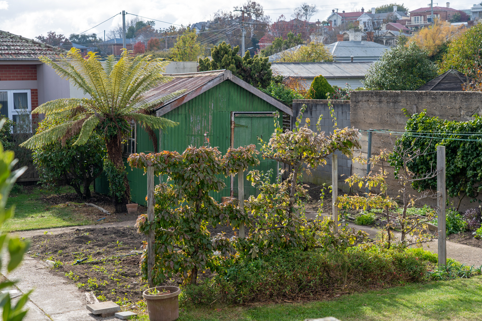 8 Ann Street, East Launceston