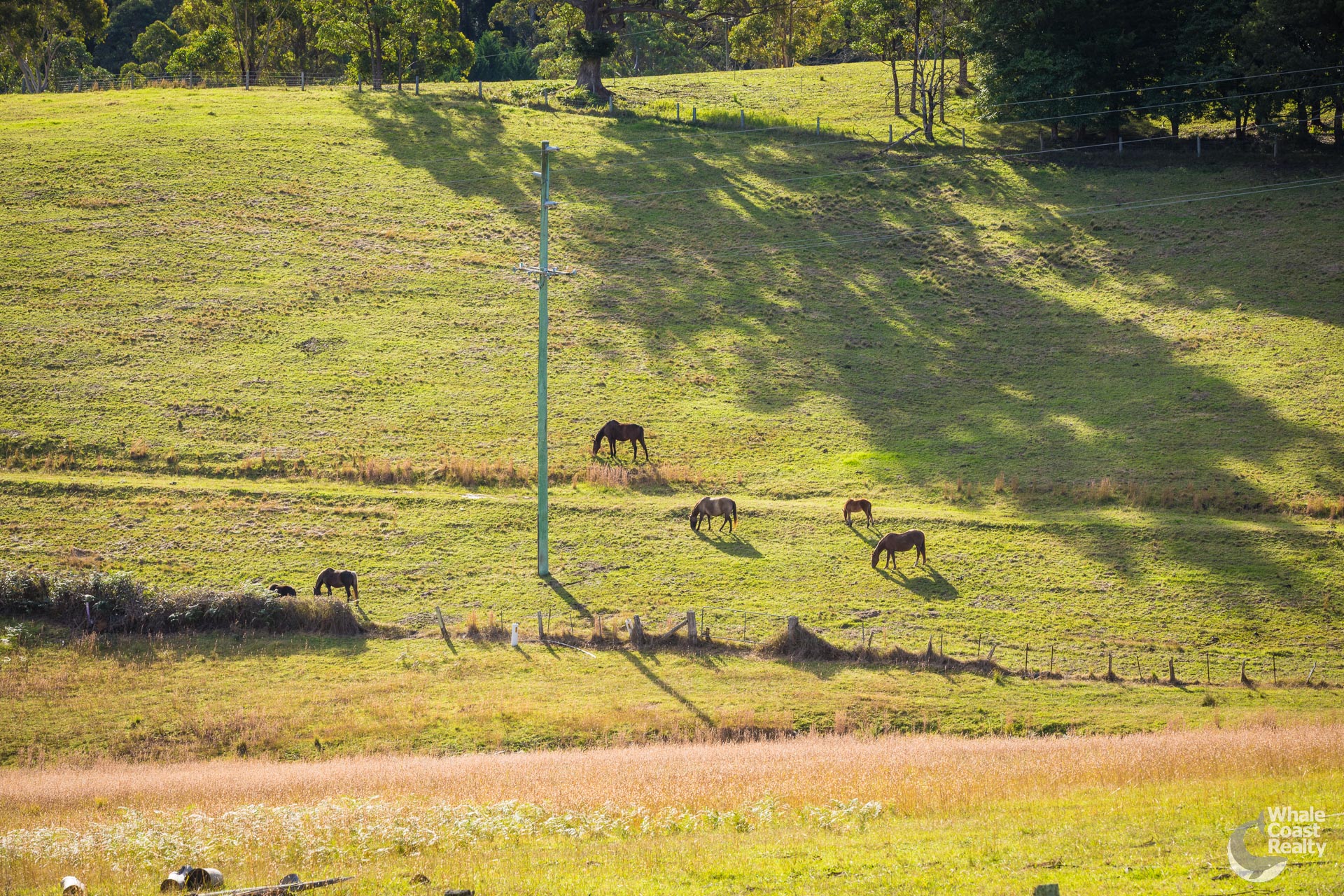 6 Cantlay Street, Turlinjah