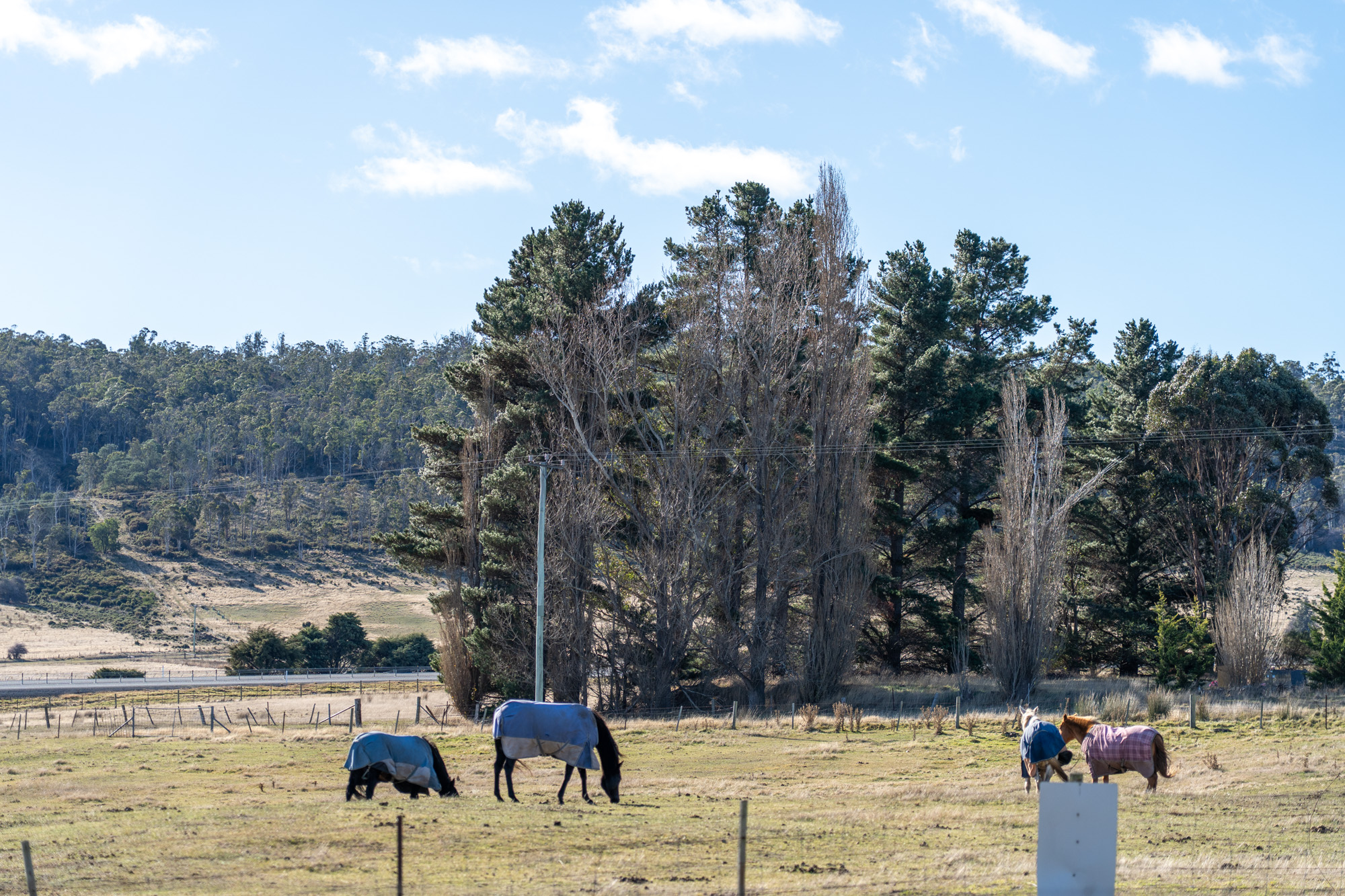 Lot 1, William Street, Oatlands