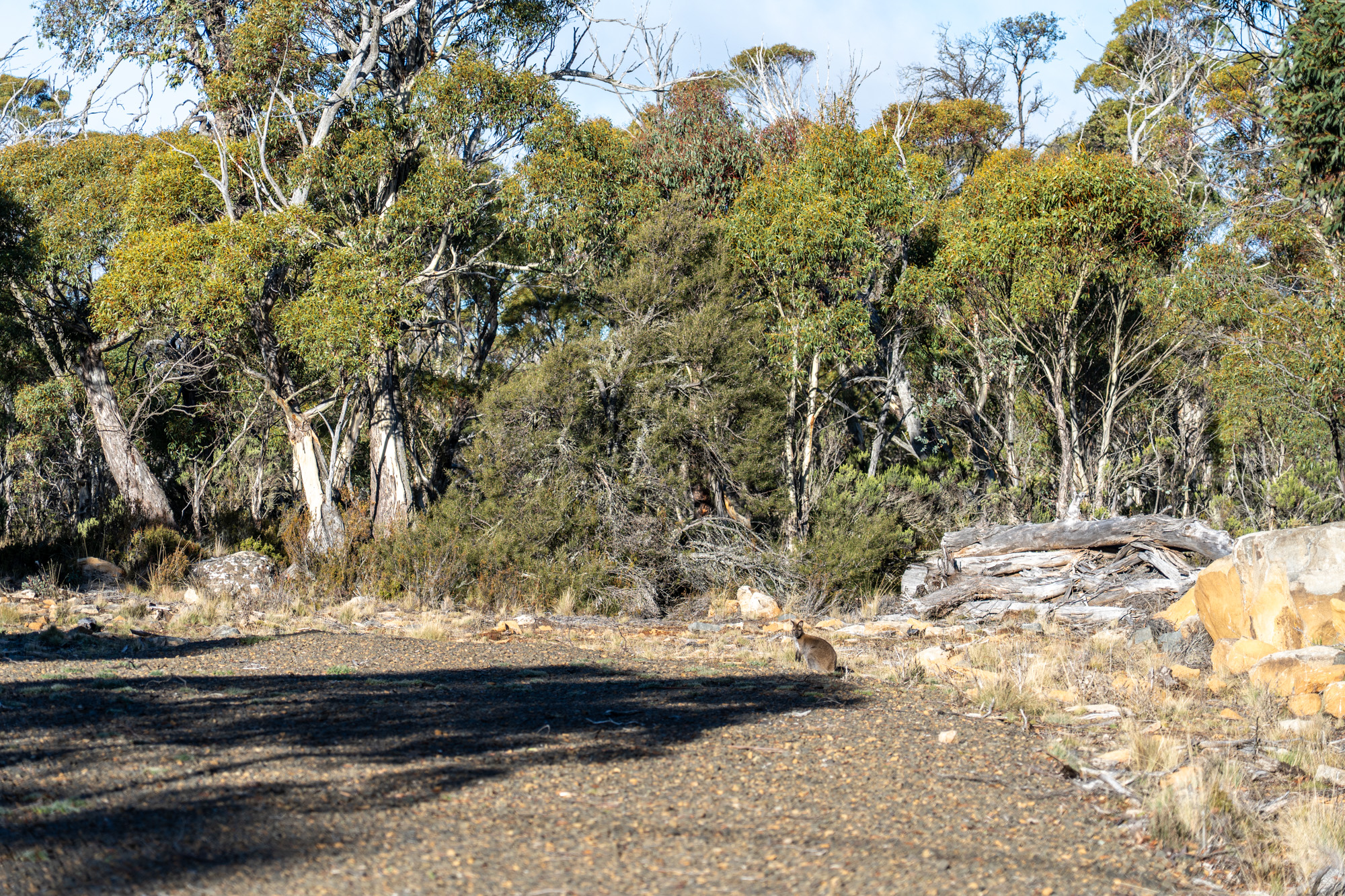 16 Anglers Crescent, Miena