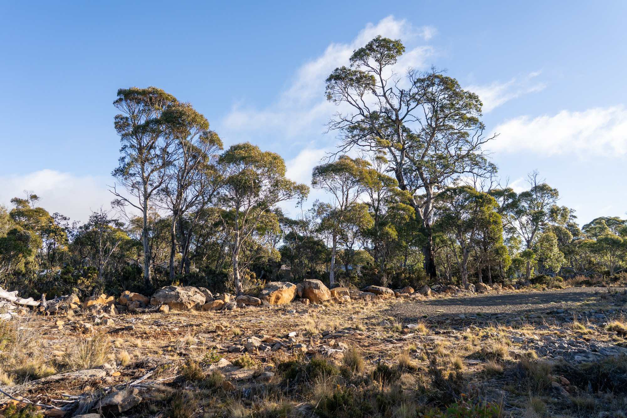 16 Anglers Crescent, Miena
