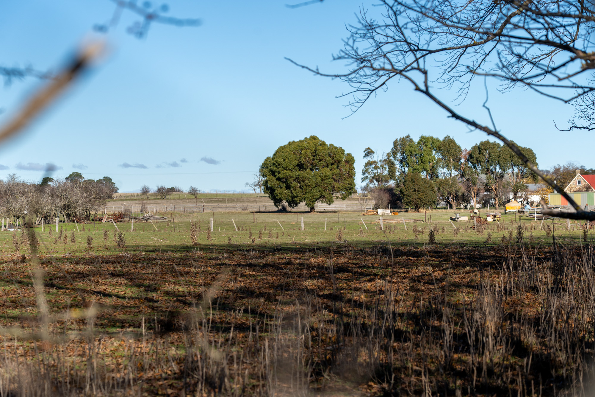 1 Bedford Street, Campbell Town