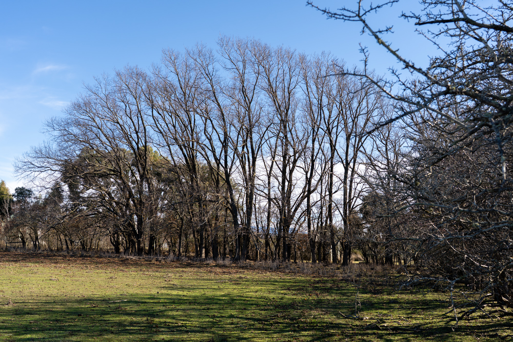1 Bedford Street, Campbell Town