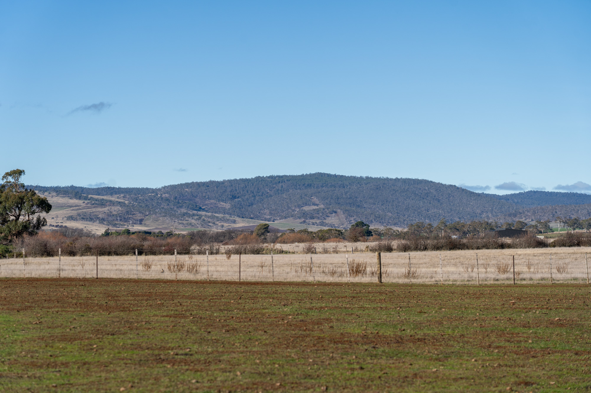 1 Bedford Street, Campbell Town