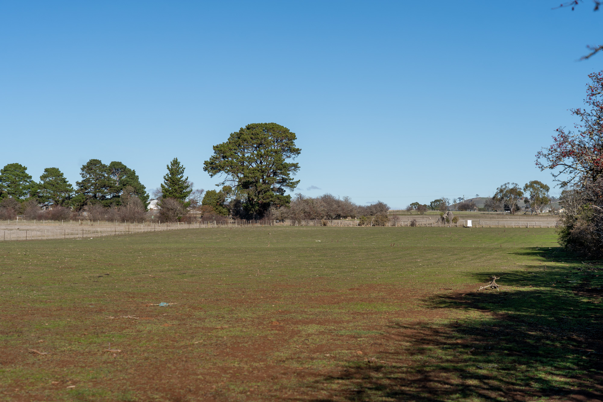 1 Bedford Street, Campbell Town