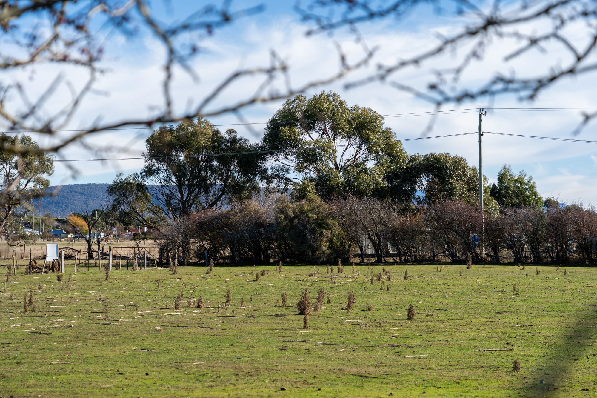 1 Bedford Street, Campbell Town
