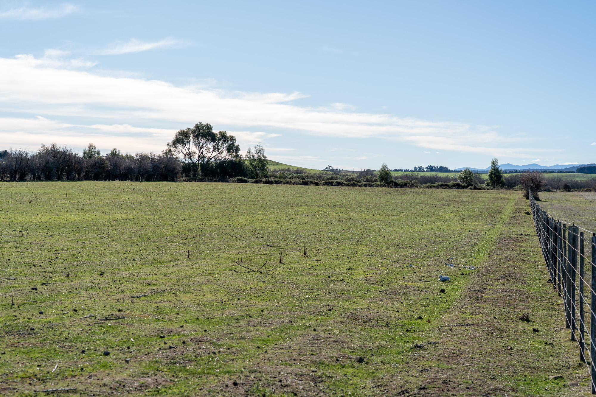 1 Bedford Street, Campbell Town